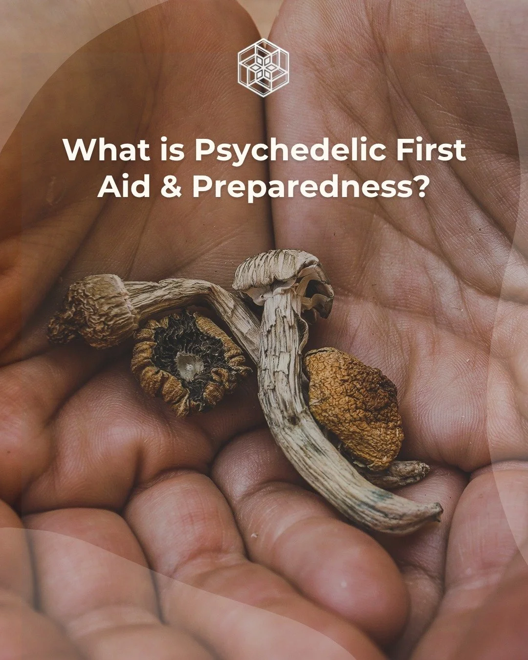 Whether you're just starting to explore psychedelics or have years of experience supporting others, psychedelic first aid and preparedness skills are essential.

Our Psychedelic First Aid &amp; Preparedness Training isn't just about emergencies, it's