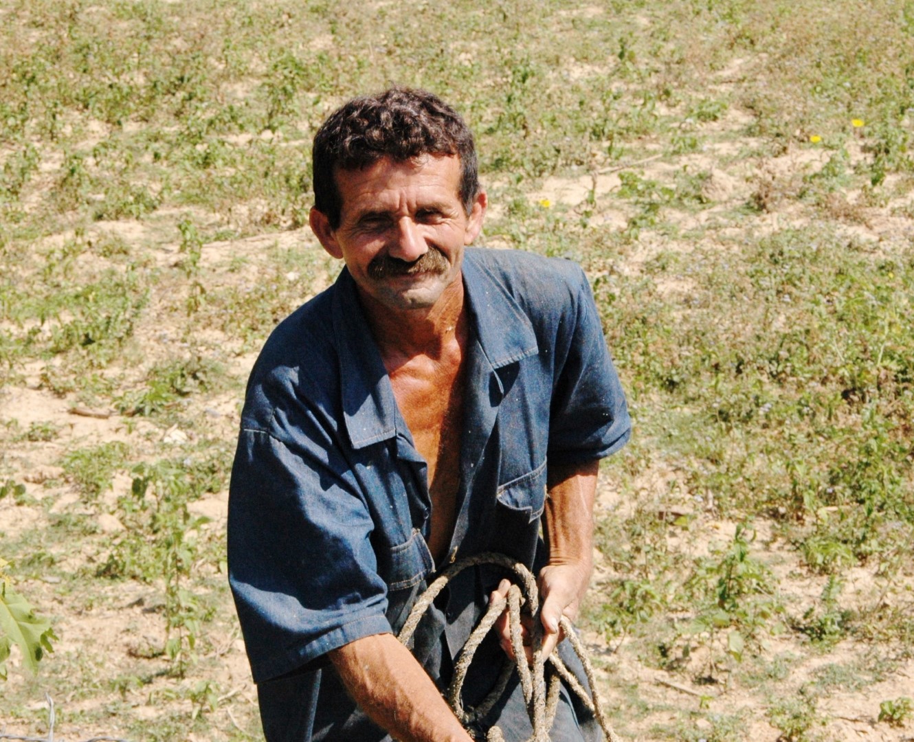 DSC_3485 (Large).JPG