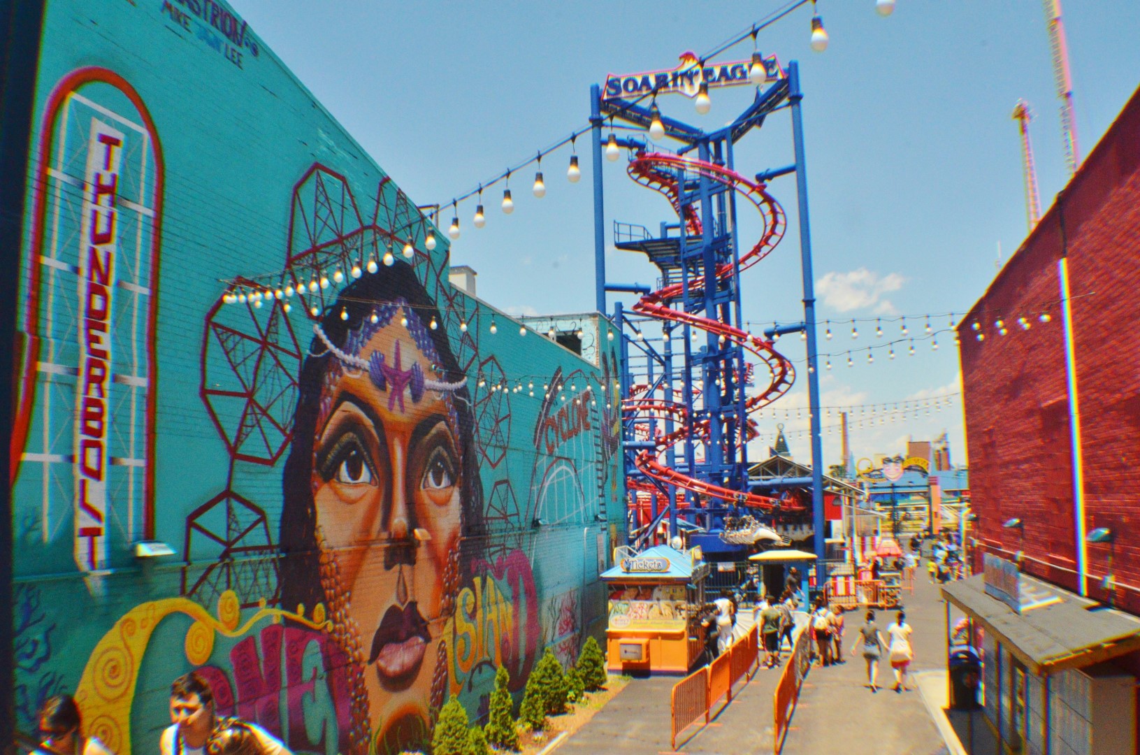 DSC_7893 (Large).JPG