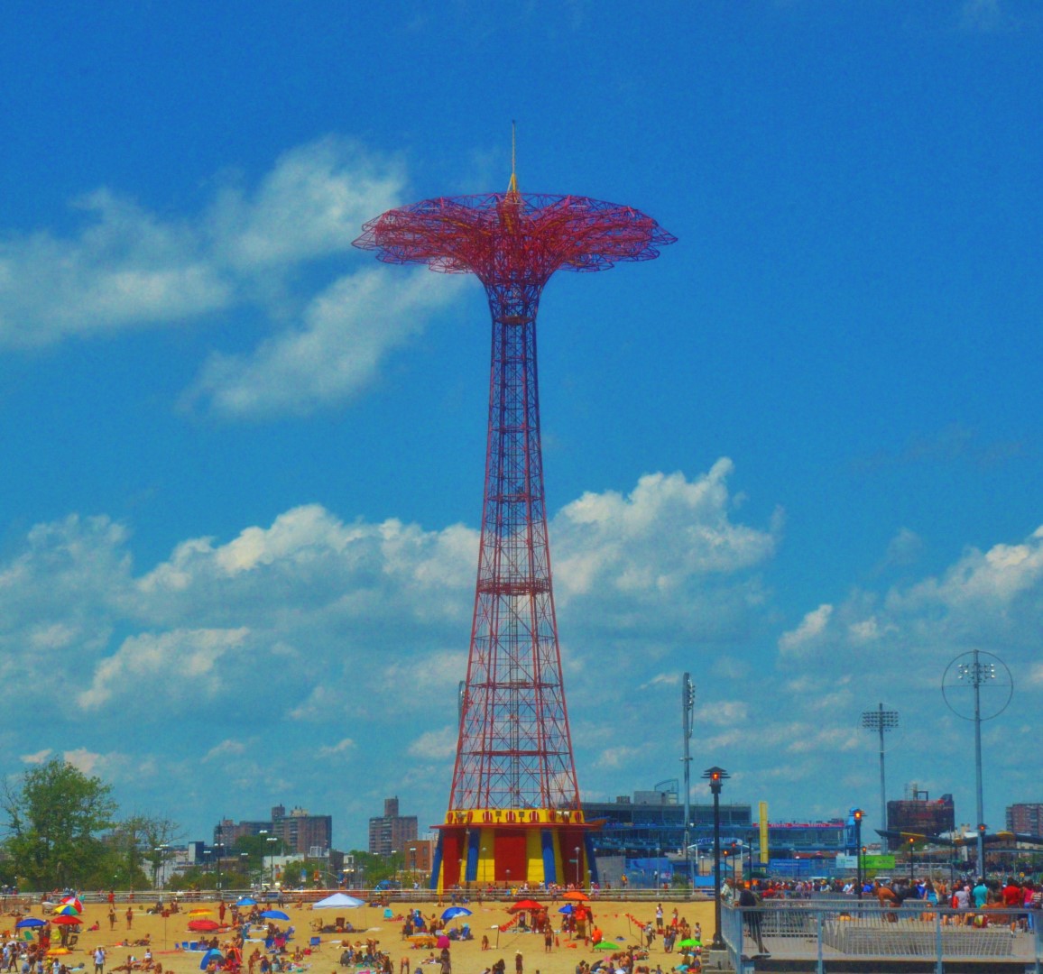 DSC_7923 (Large).JPG