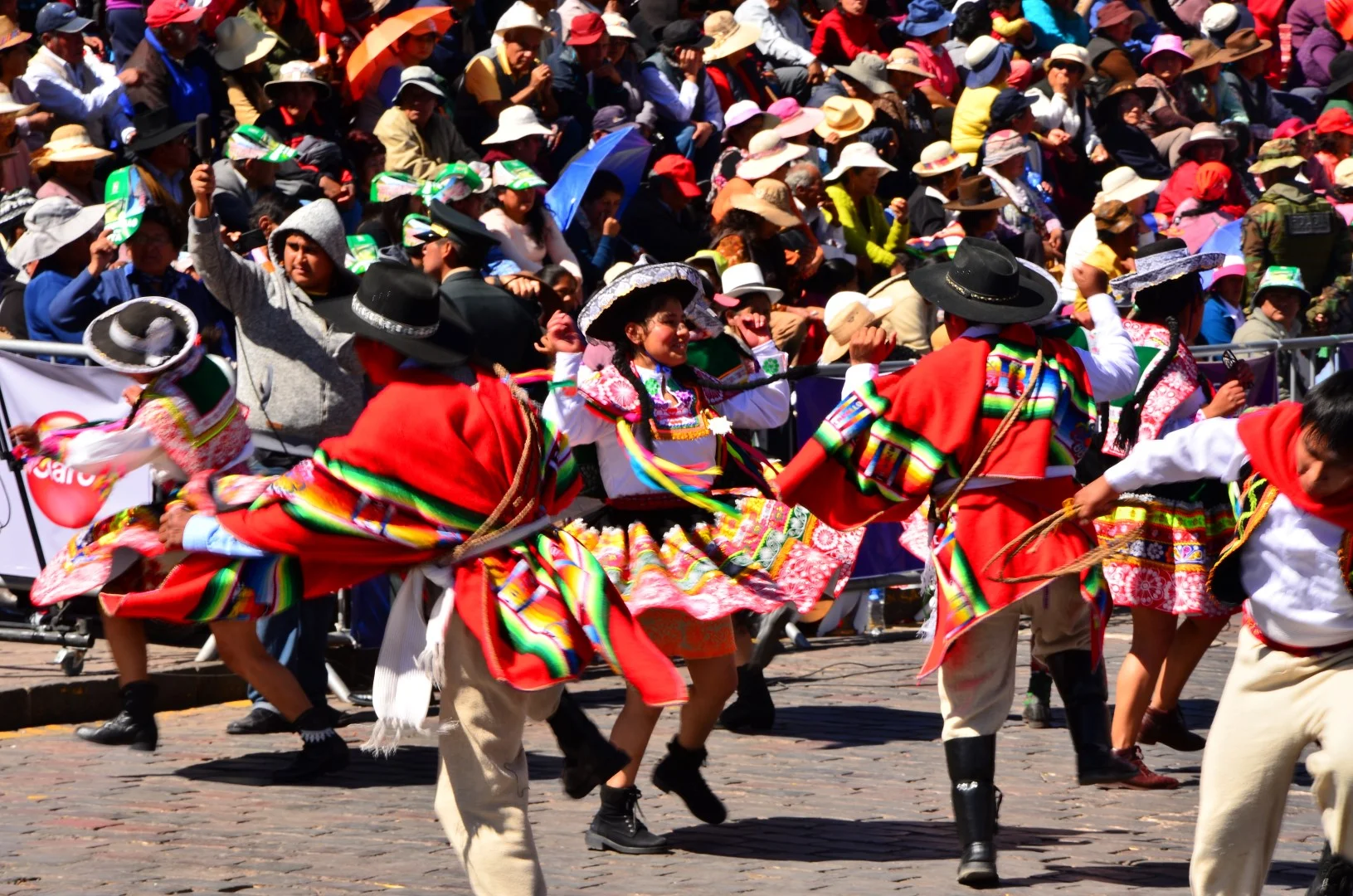 DSC_6516 (Large).JPG