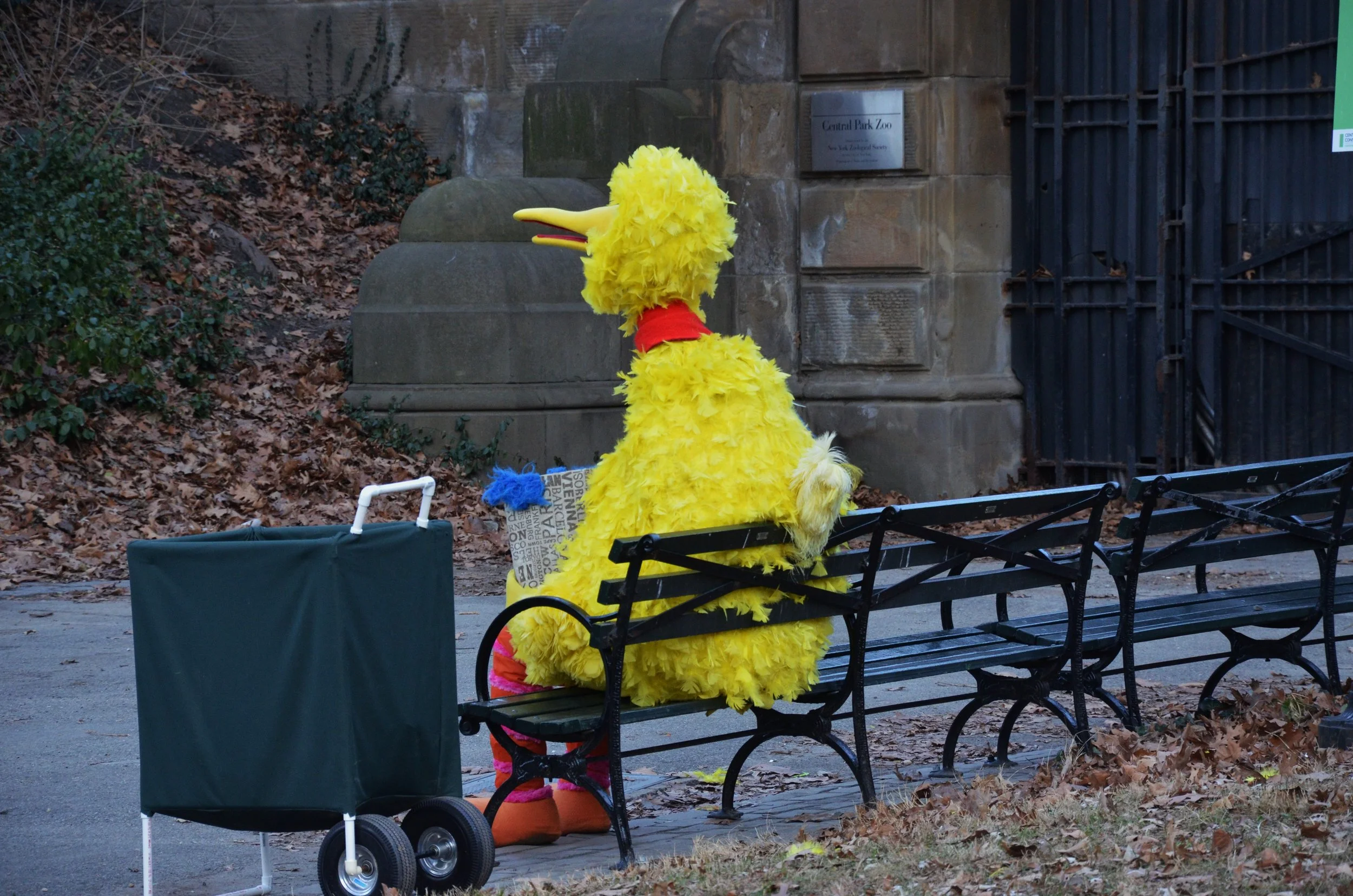   Can you tell me how to get to Sesame Street? - Central Park   