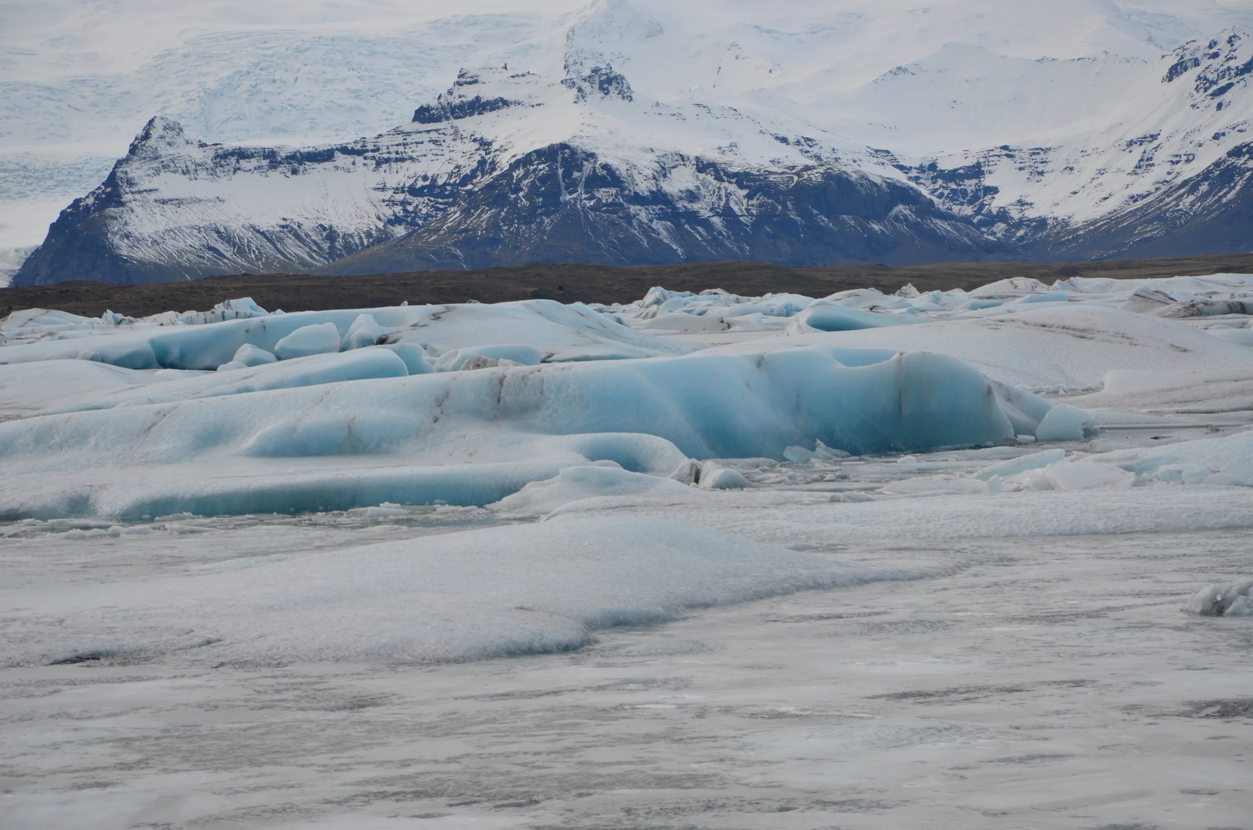 DSC_9082.JPG