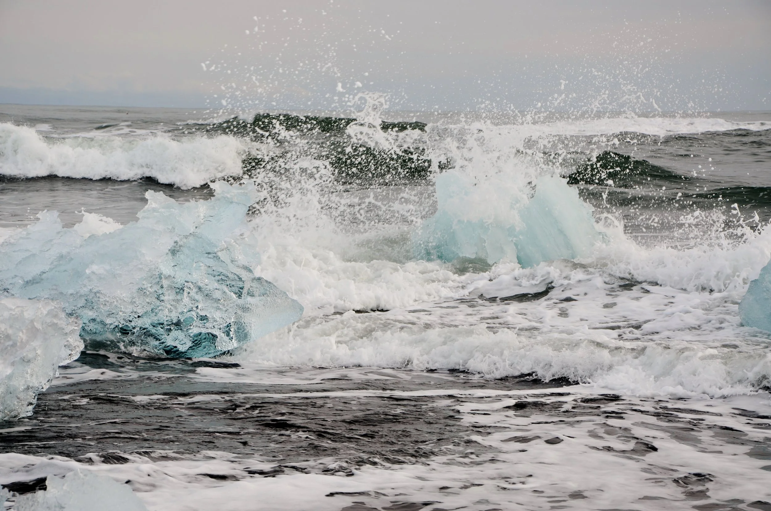 DSC_9107.JPG