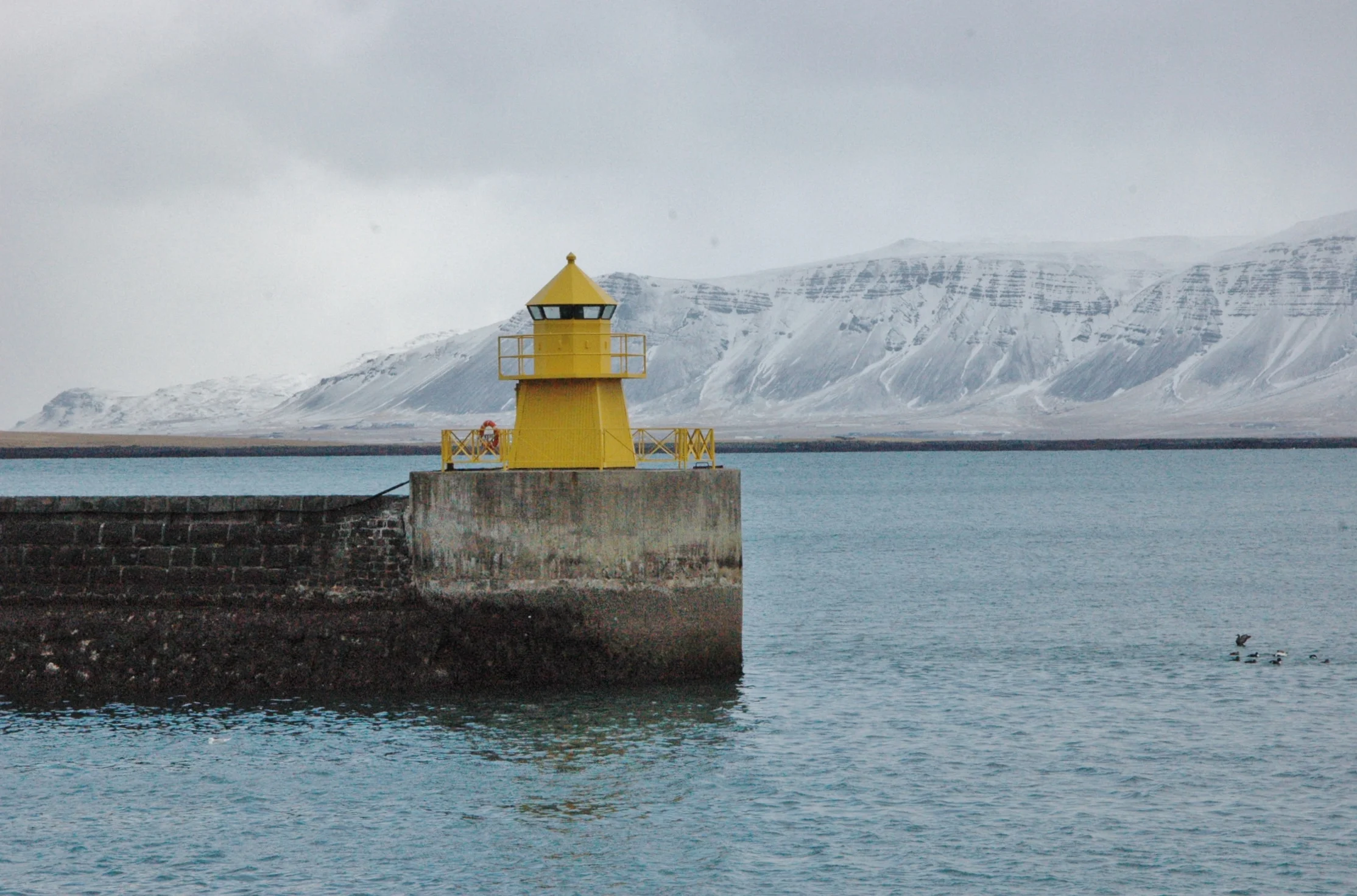 DSC_0715.JPG