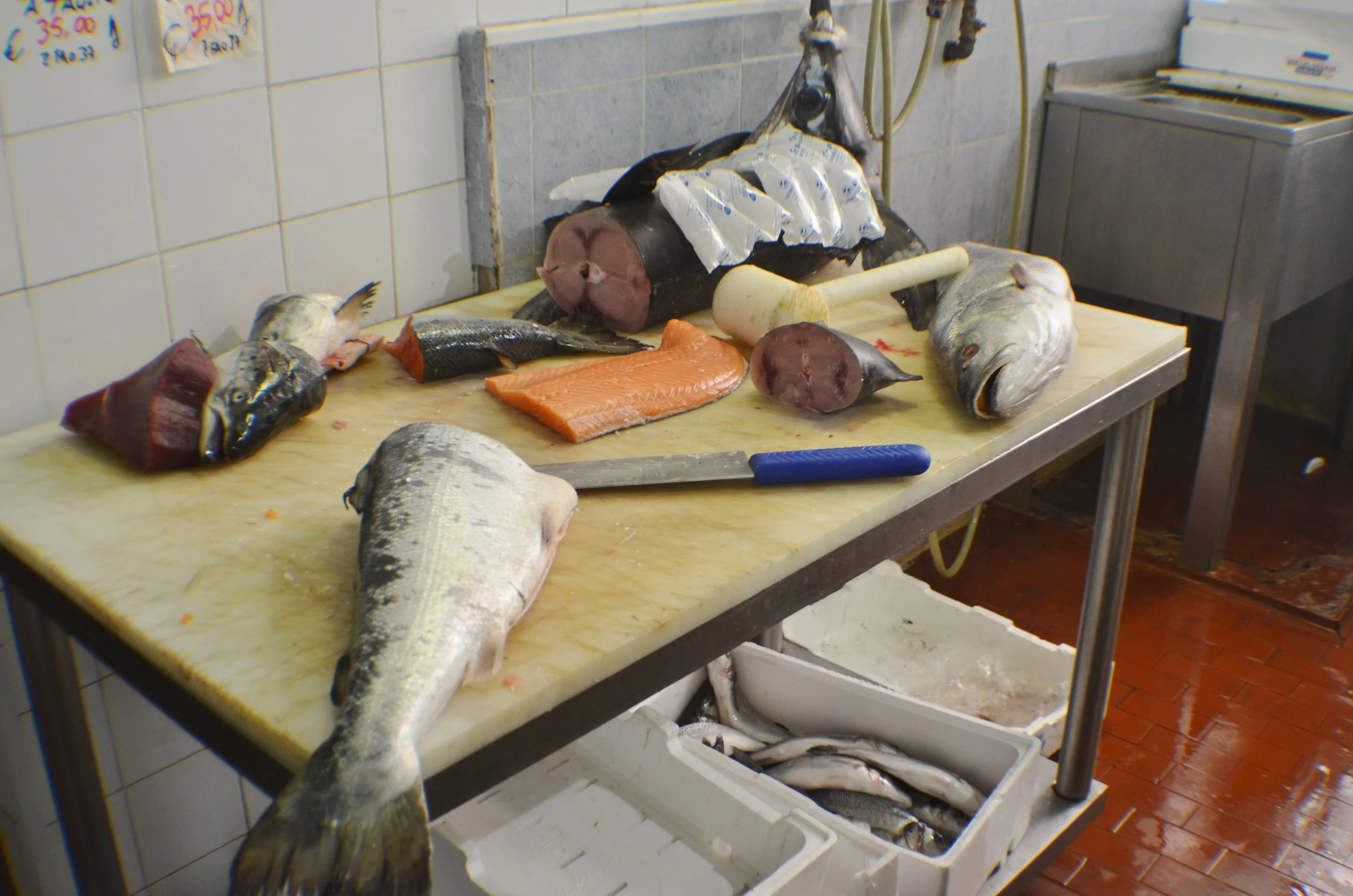   Fish Market-Lisbon   