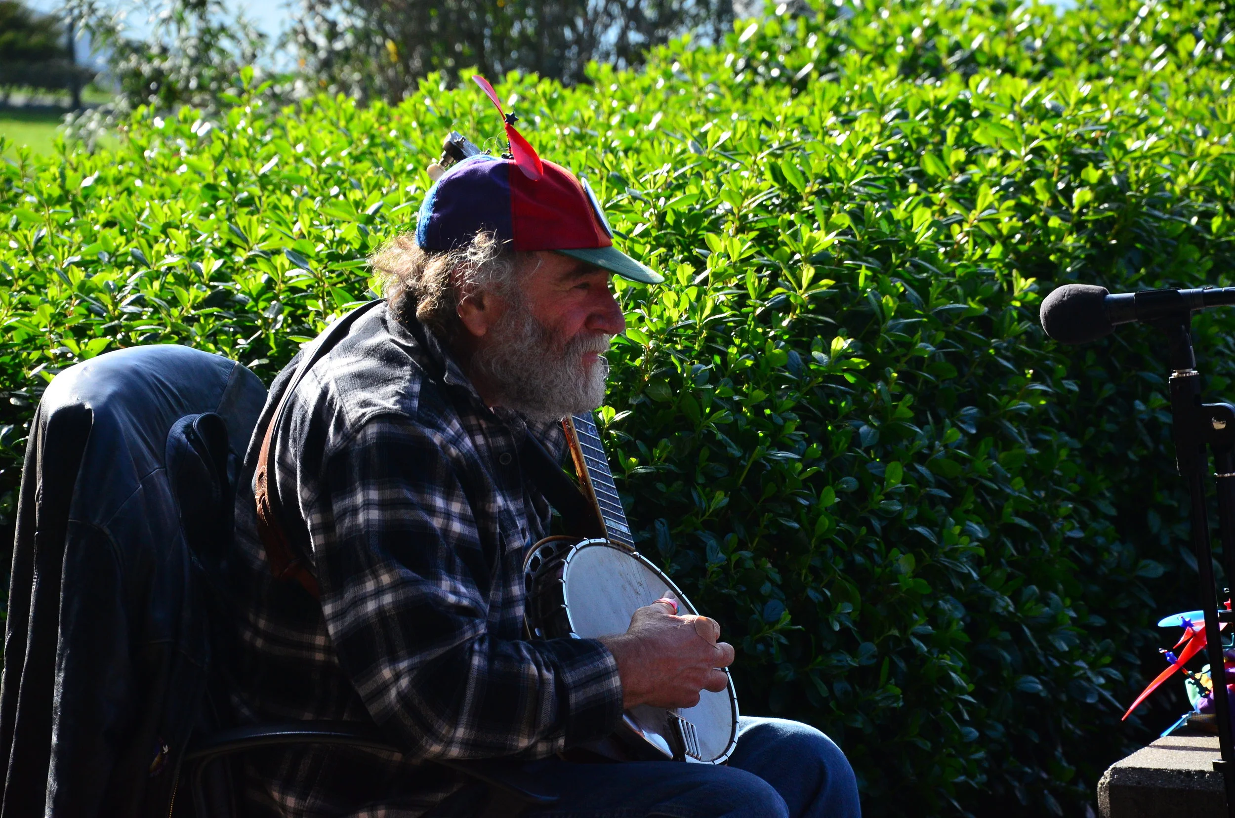  San Fran  Troubadour  