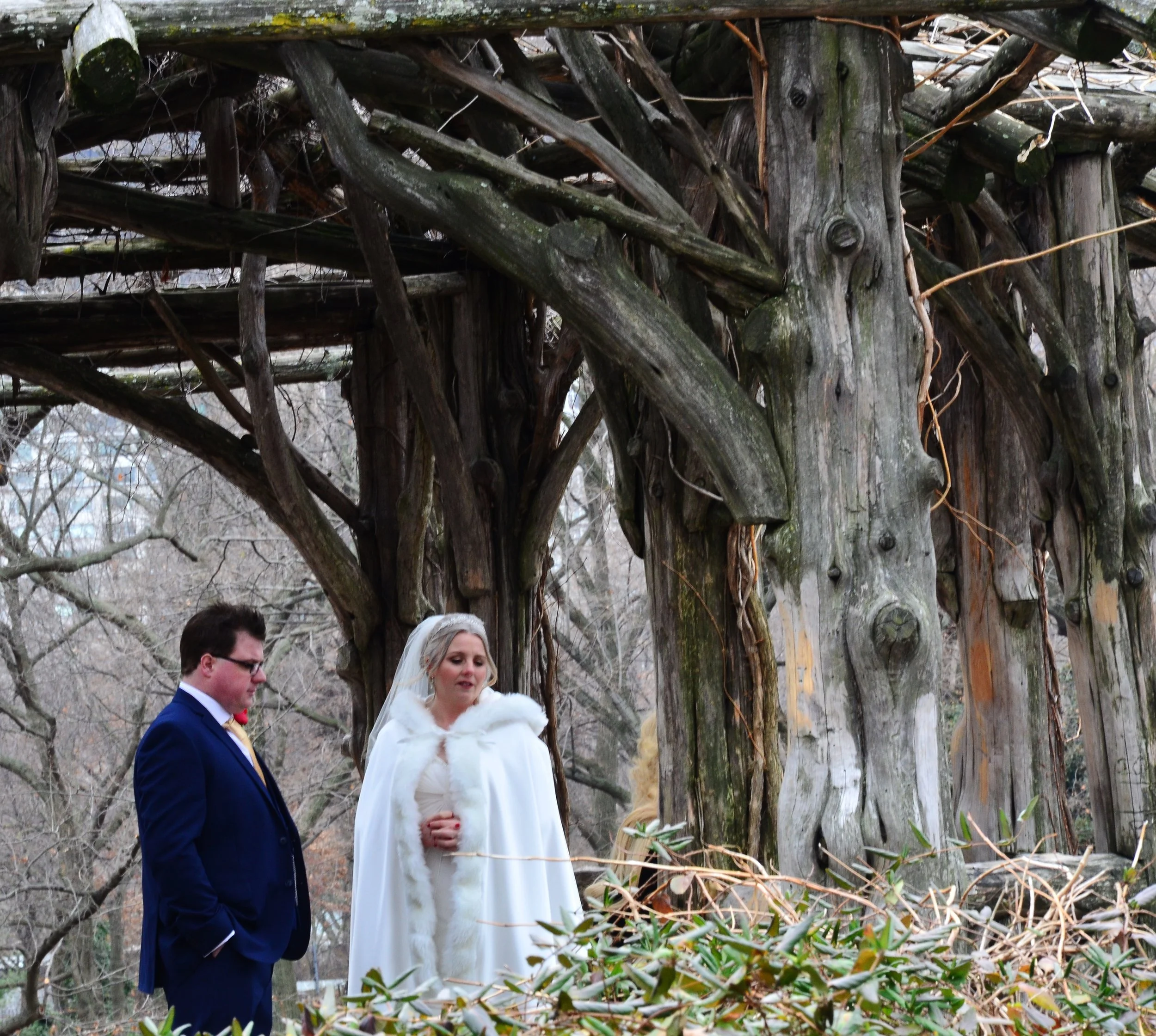   Xmas Wedding Central Park   