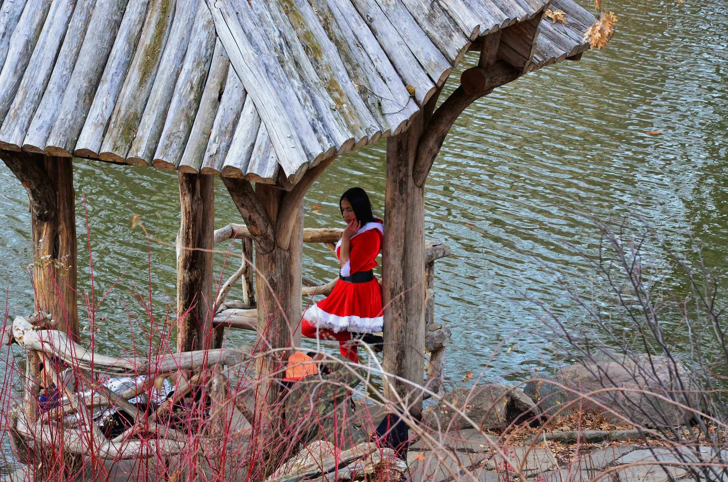   Central Park Elf   