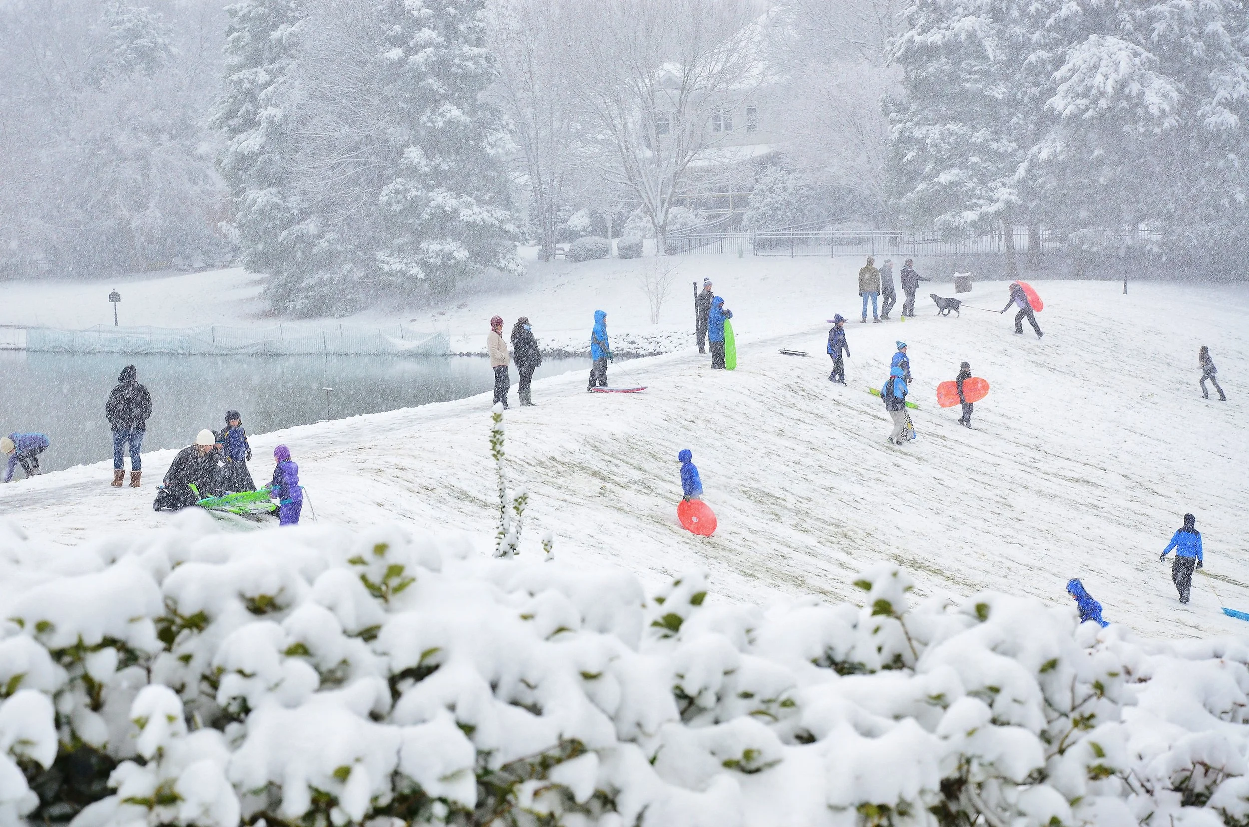  Any Hill will do  -Beverly Crest -Charlotte NC  