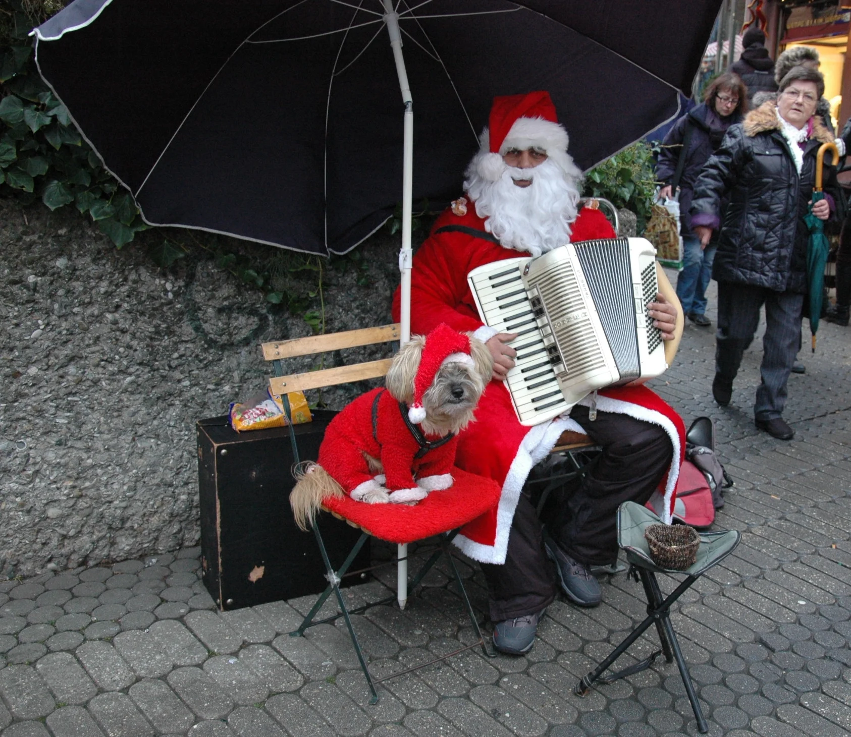   Germany —where else would you have accordion street musicians with their dog dressed up   