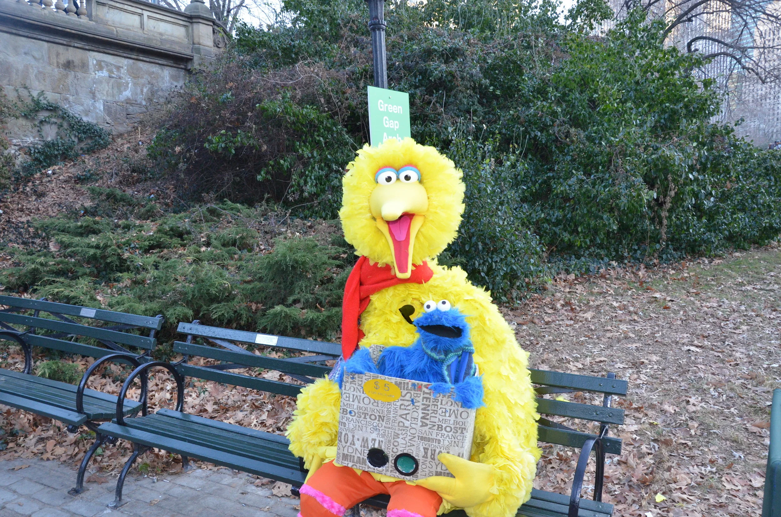   Look who wandered away from Sesame Street   