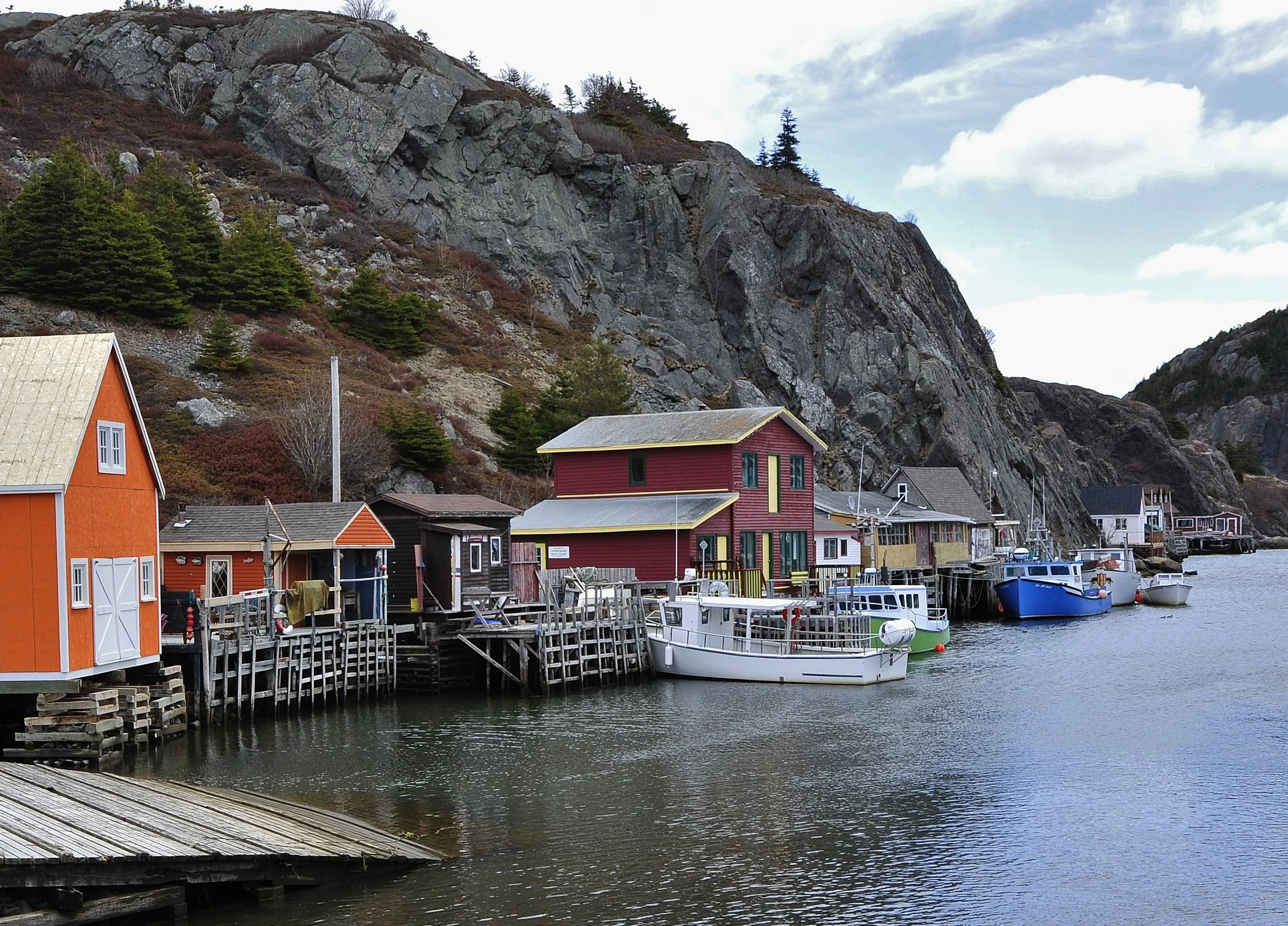   Quidi Vidi Harbor   