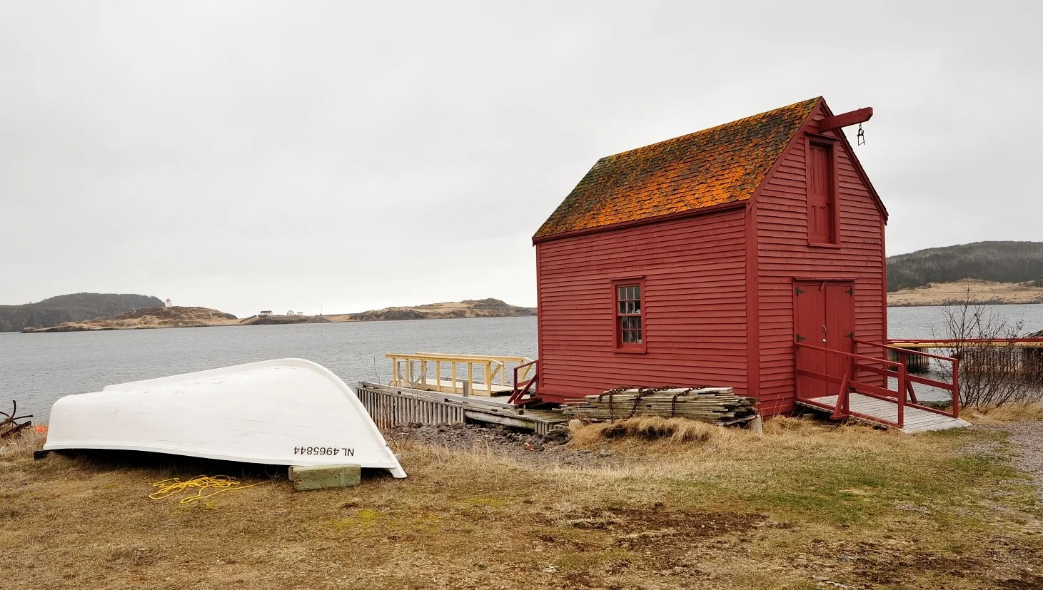 _DSC7624 (Large).JPG