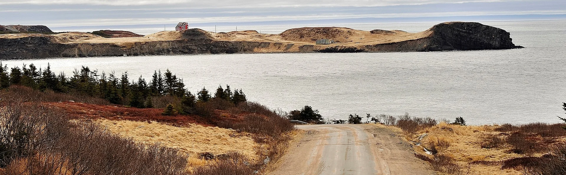   Goose Cove  