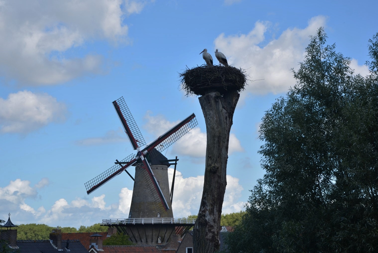   Storks Nest -Holland   