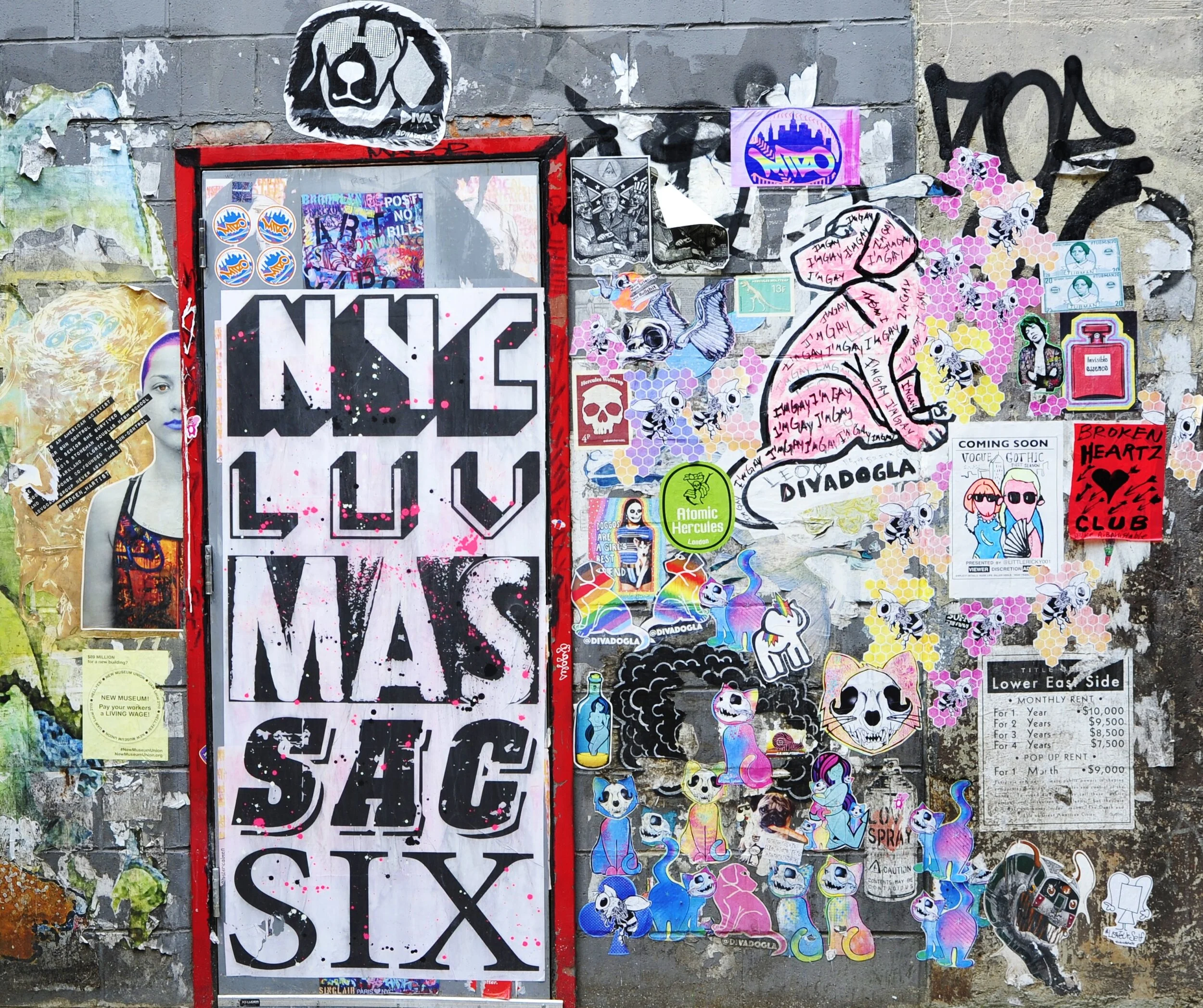 _DSC8859.JPG
