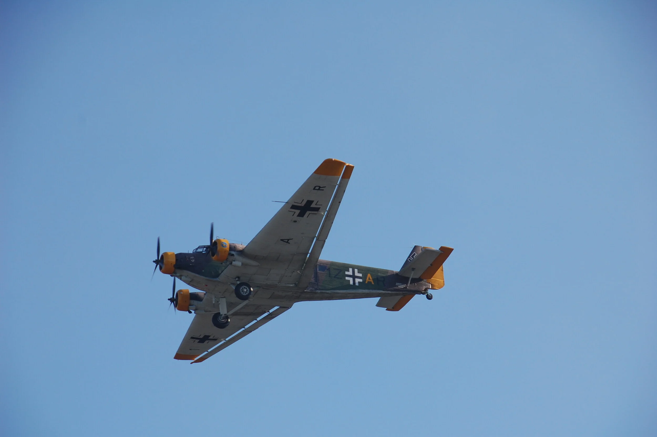 DSC_0204.JPG