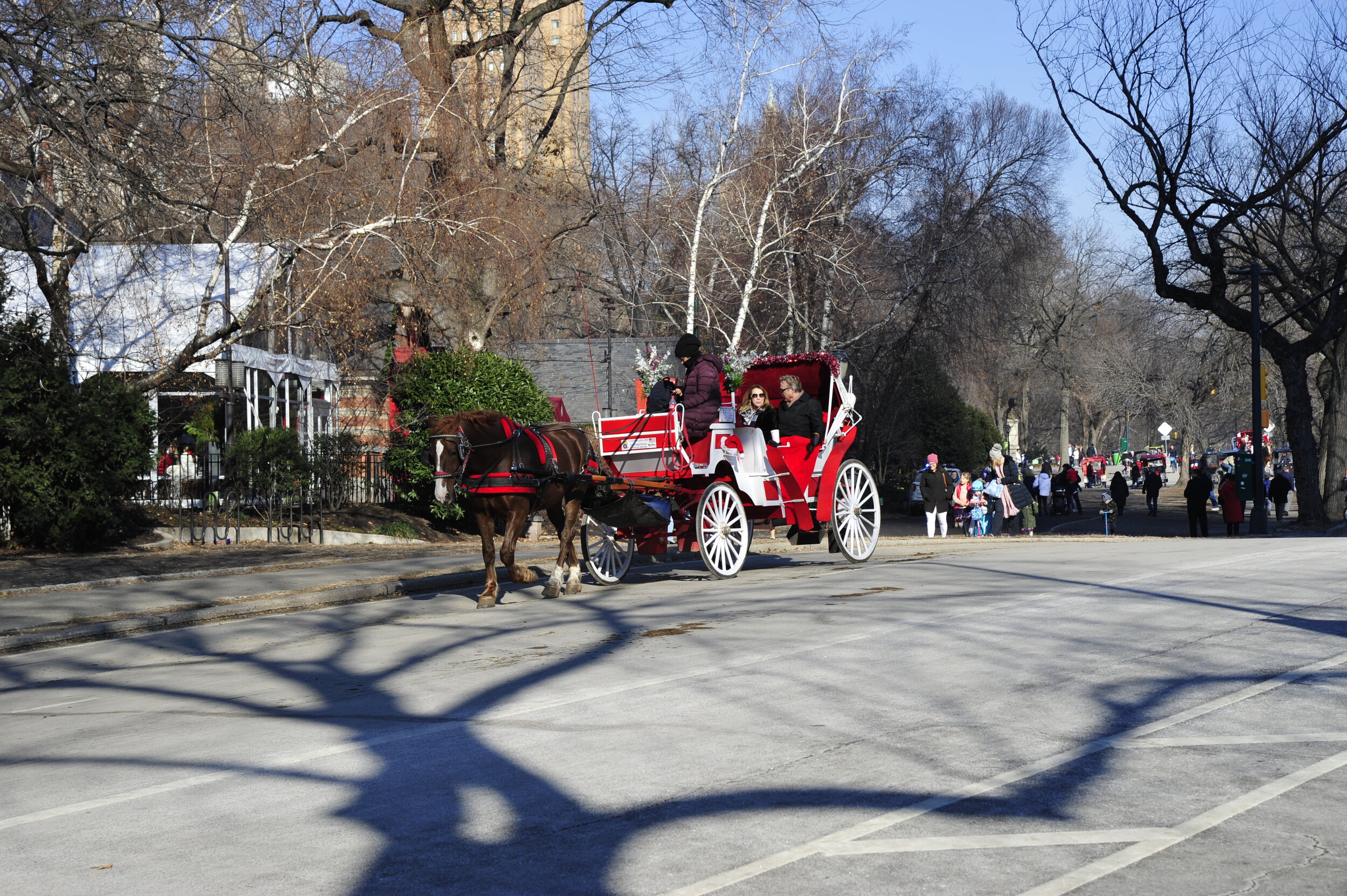 _DSC8975.JPG