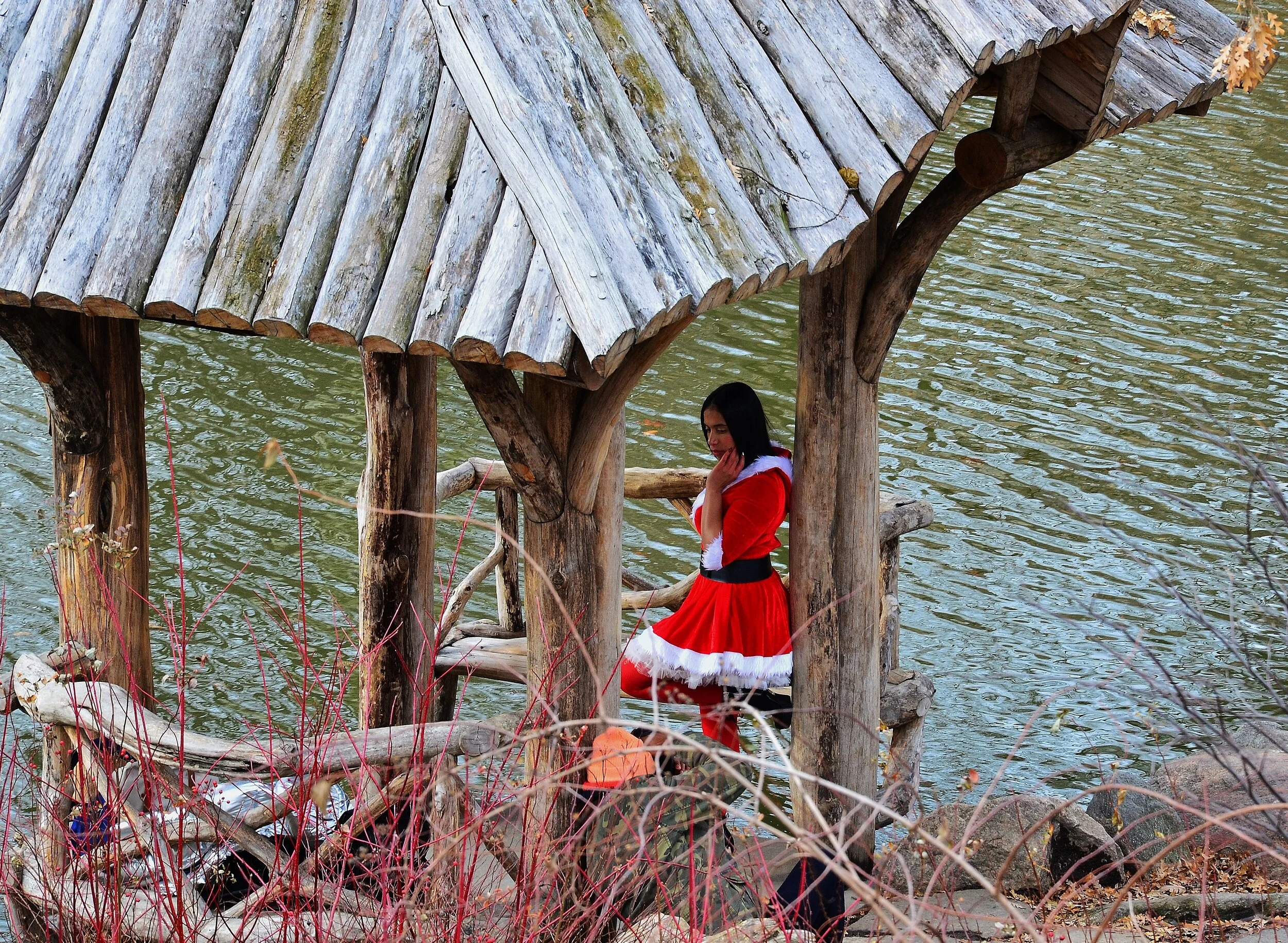   Santa’s Helper Central Park   