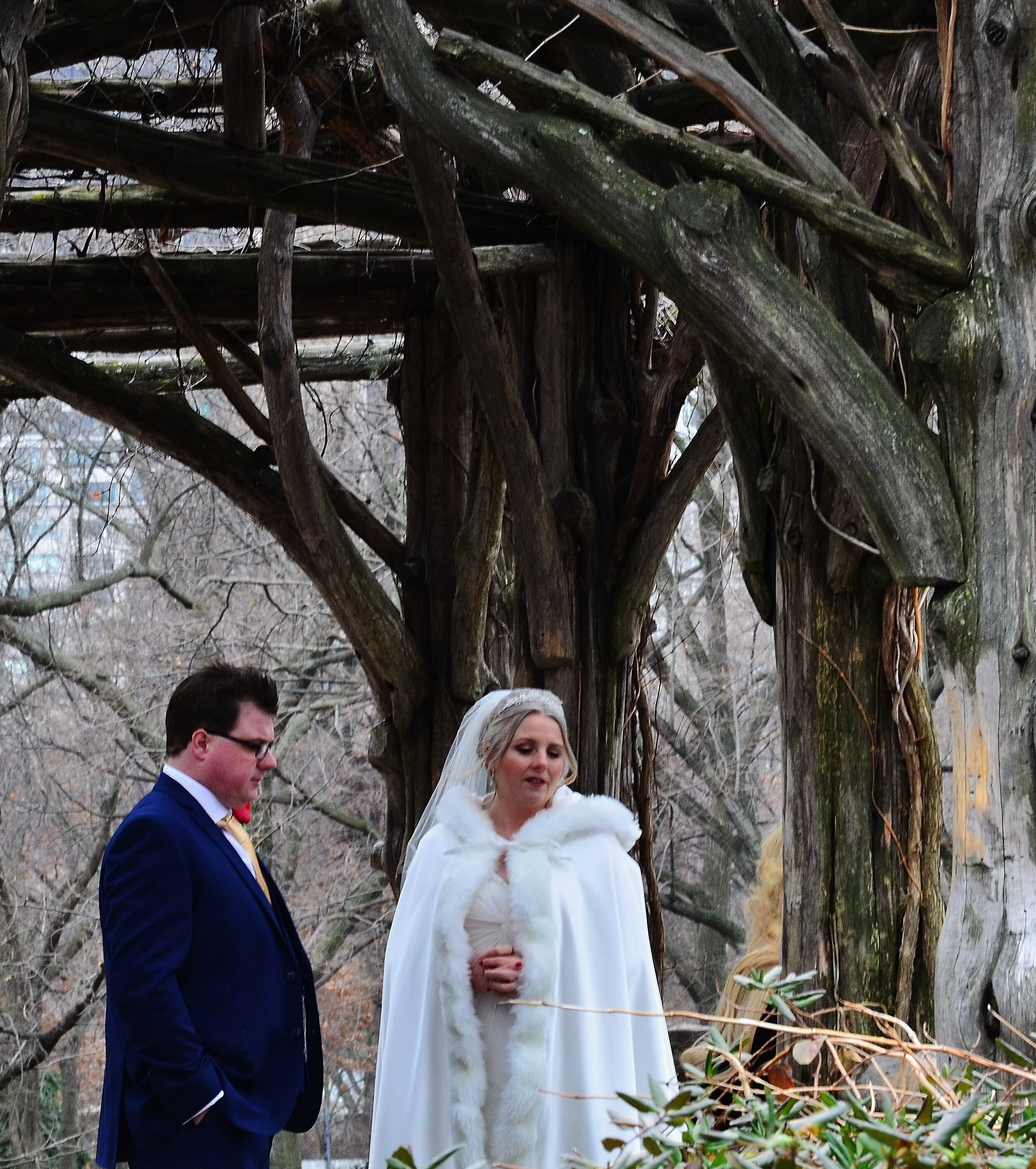   Wedding Christmas Eve —Central Park   