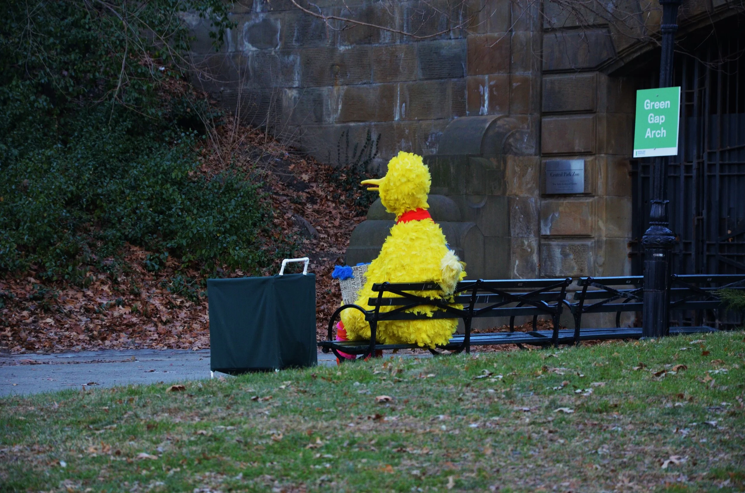   Big Bird takes a break   