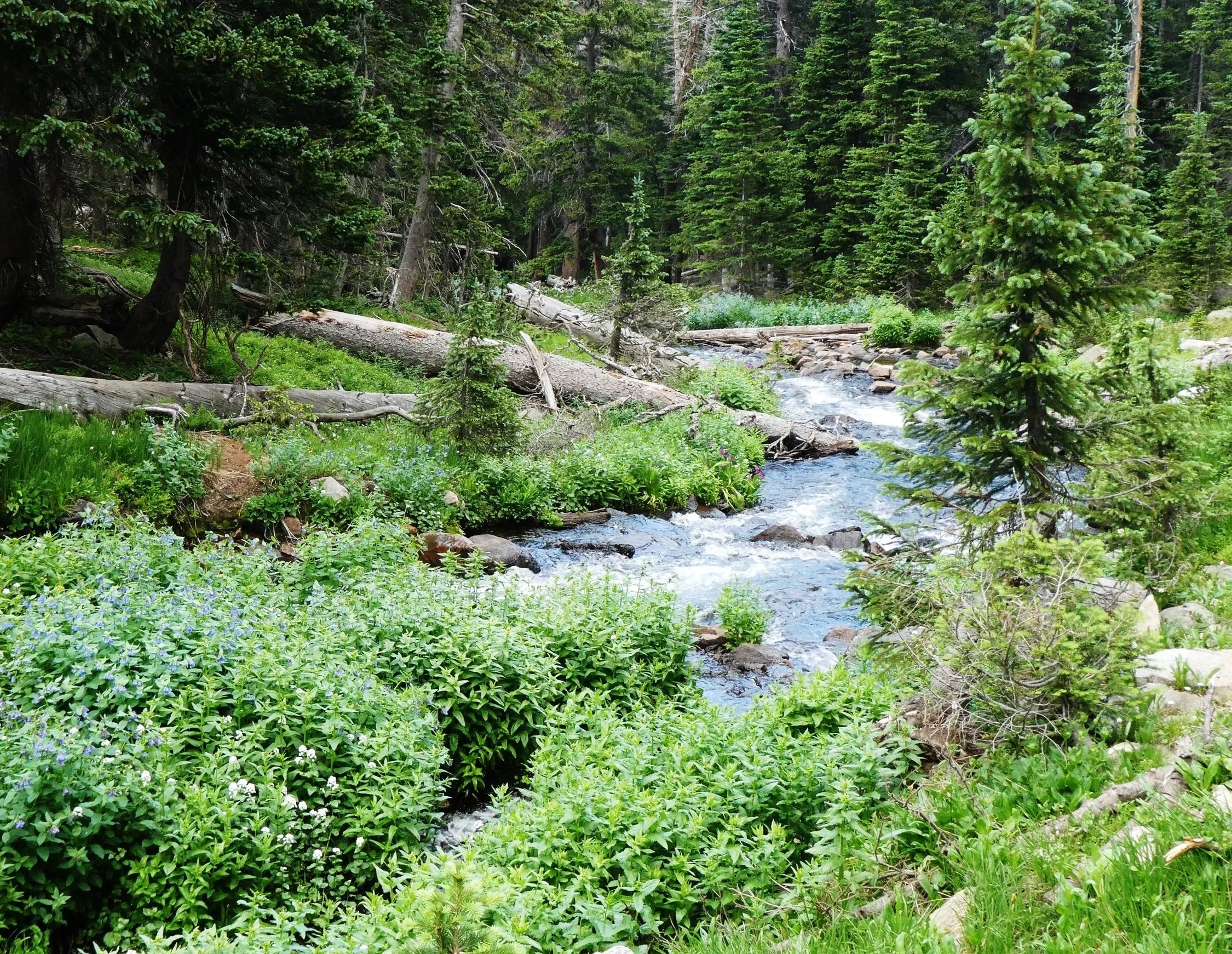 P1000116.JPG