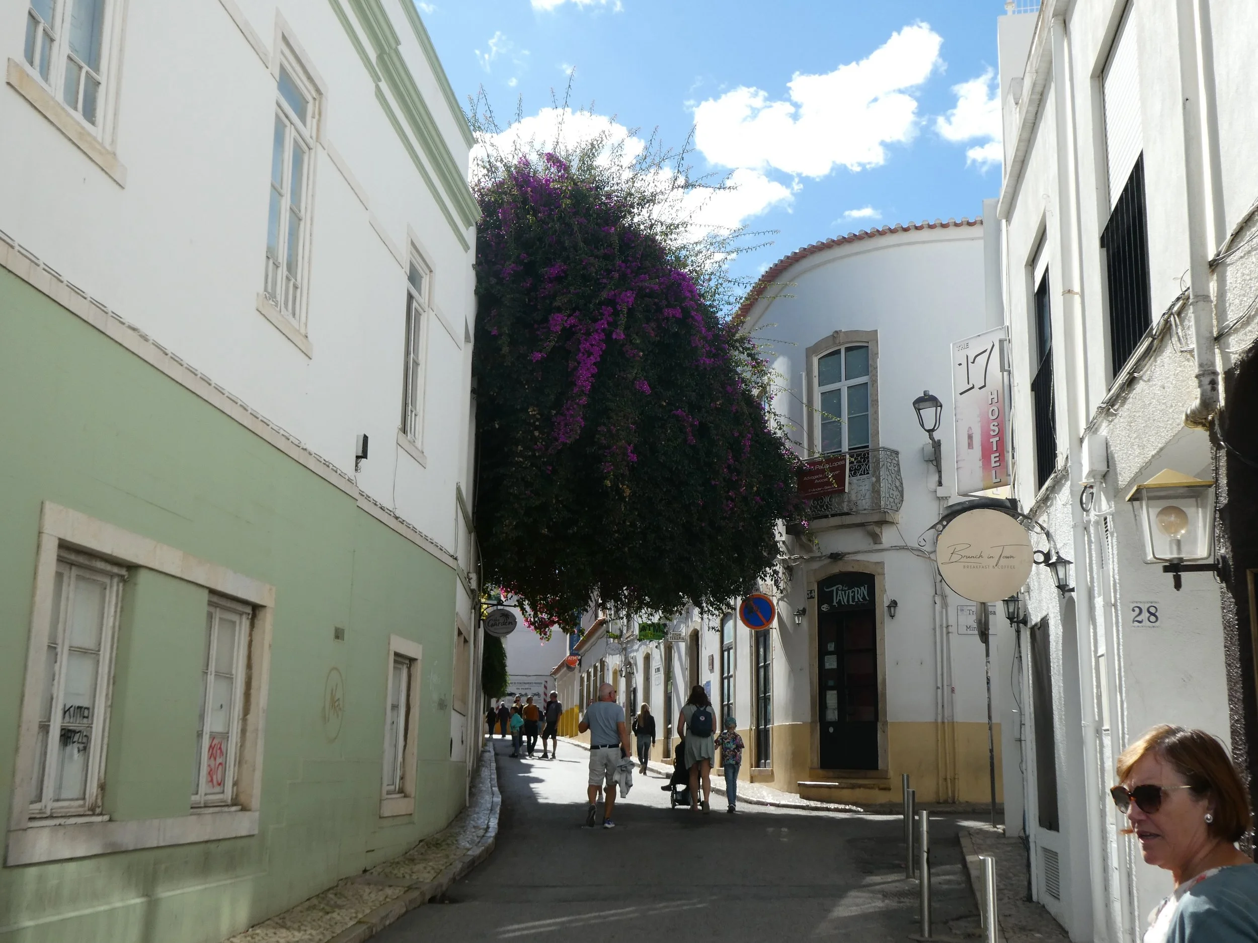 P1010456.JPG