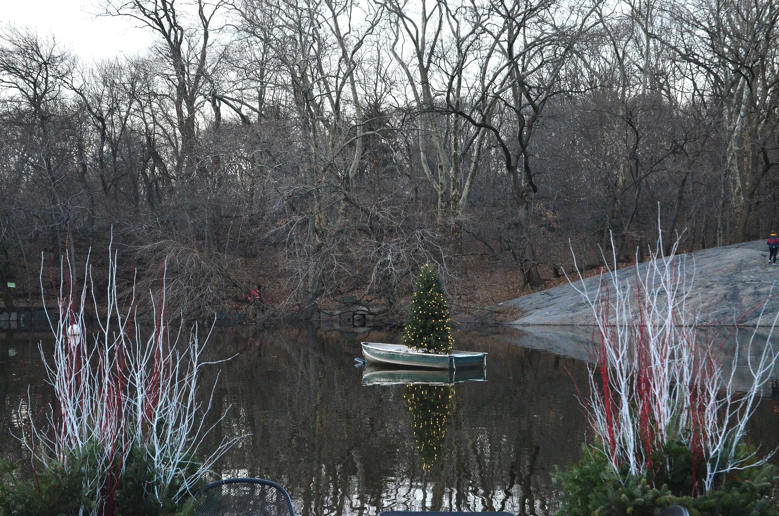   Central Park   