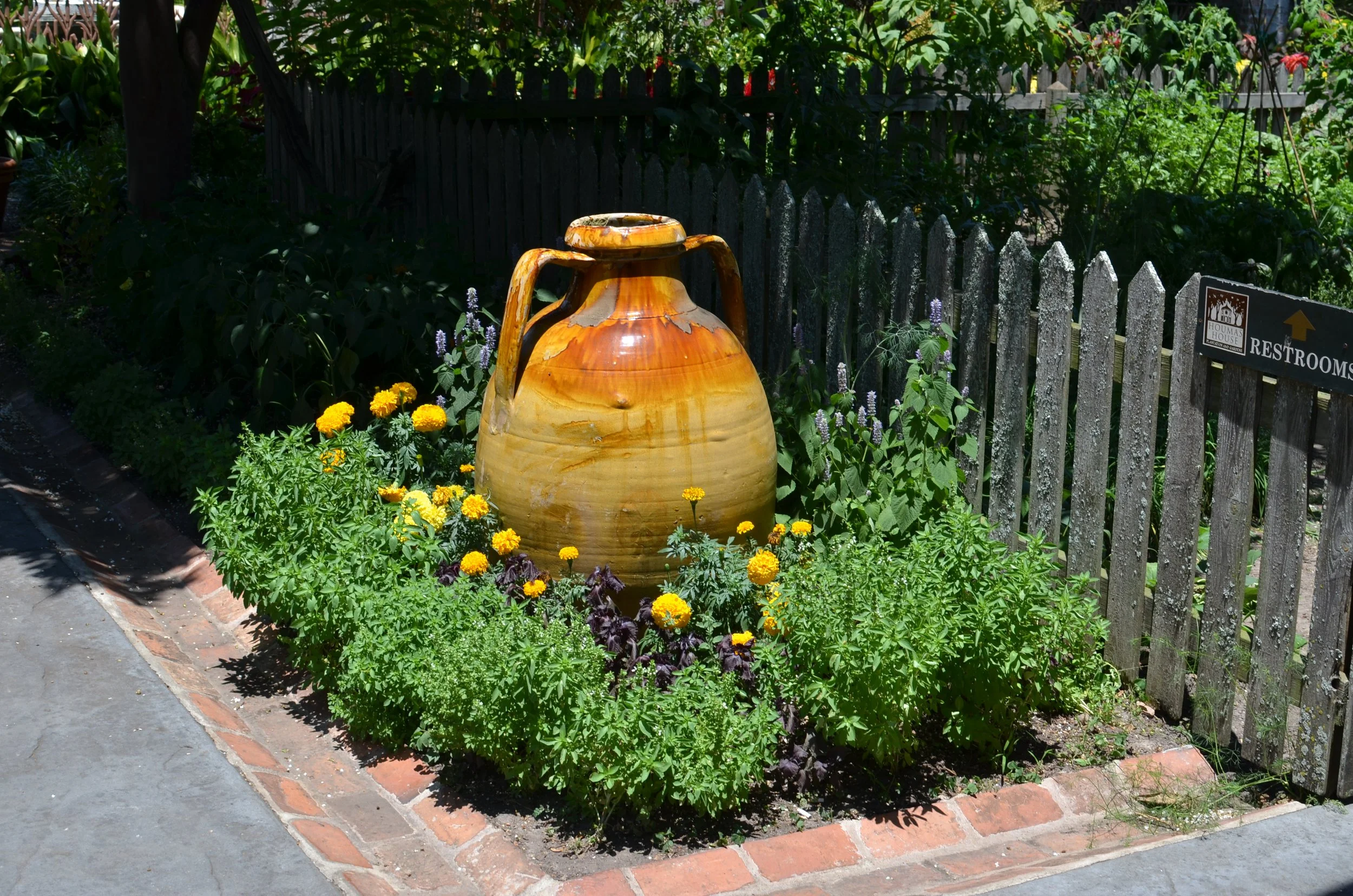 DSC_0080.JPG