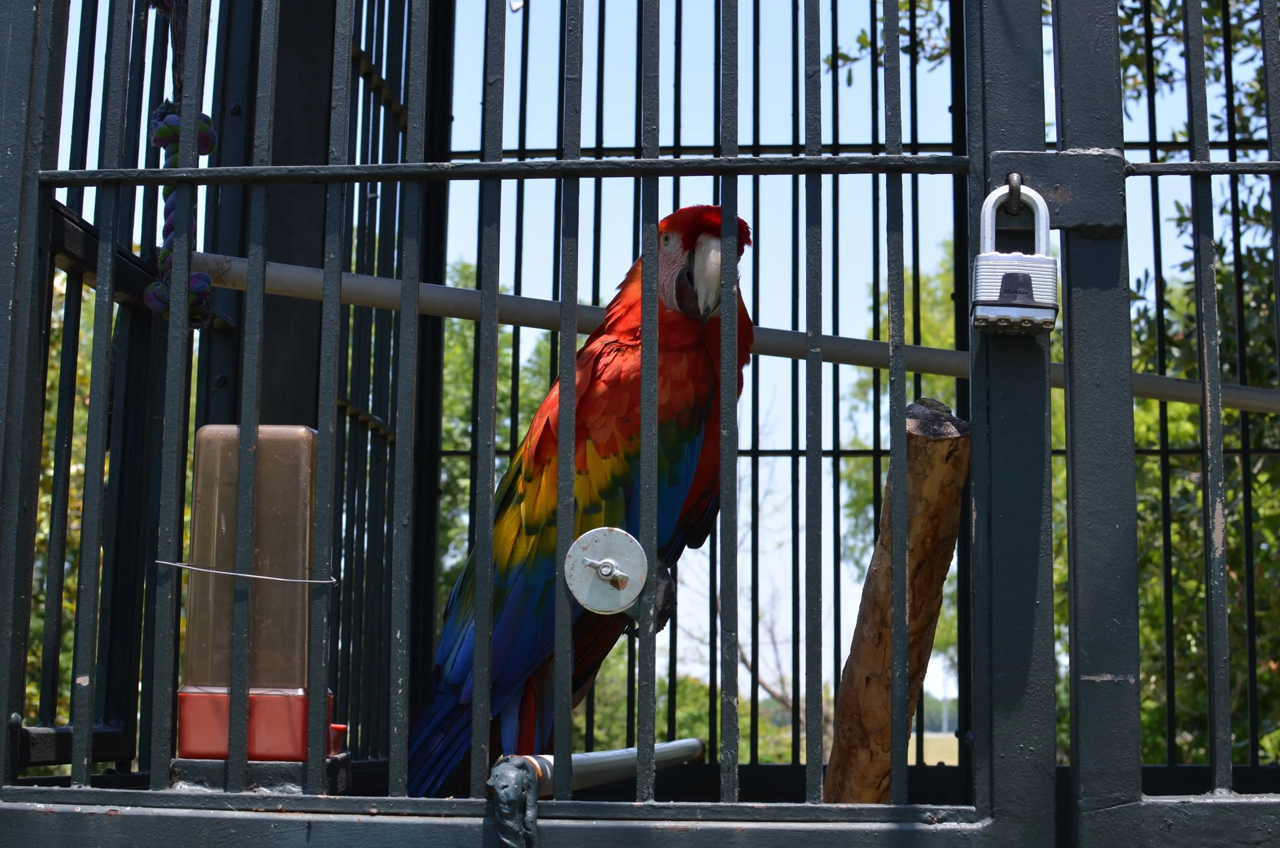 DSC_0092.JPG