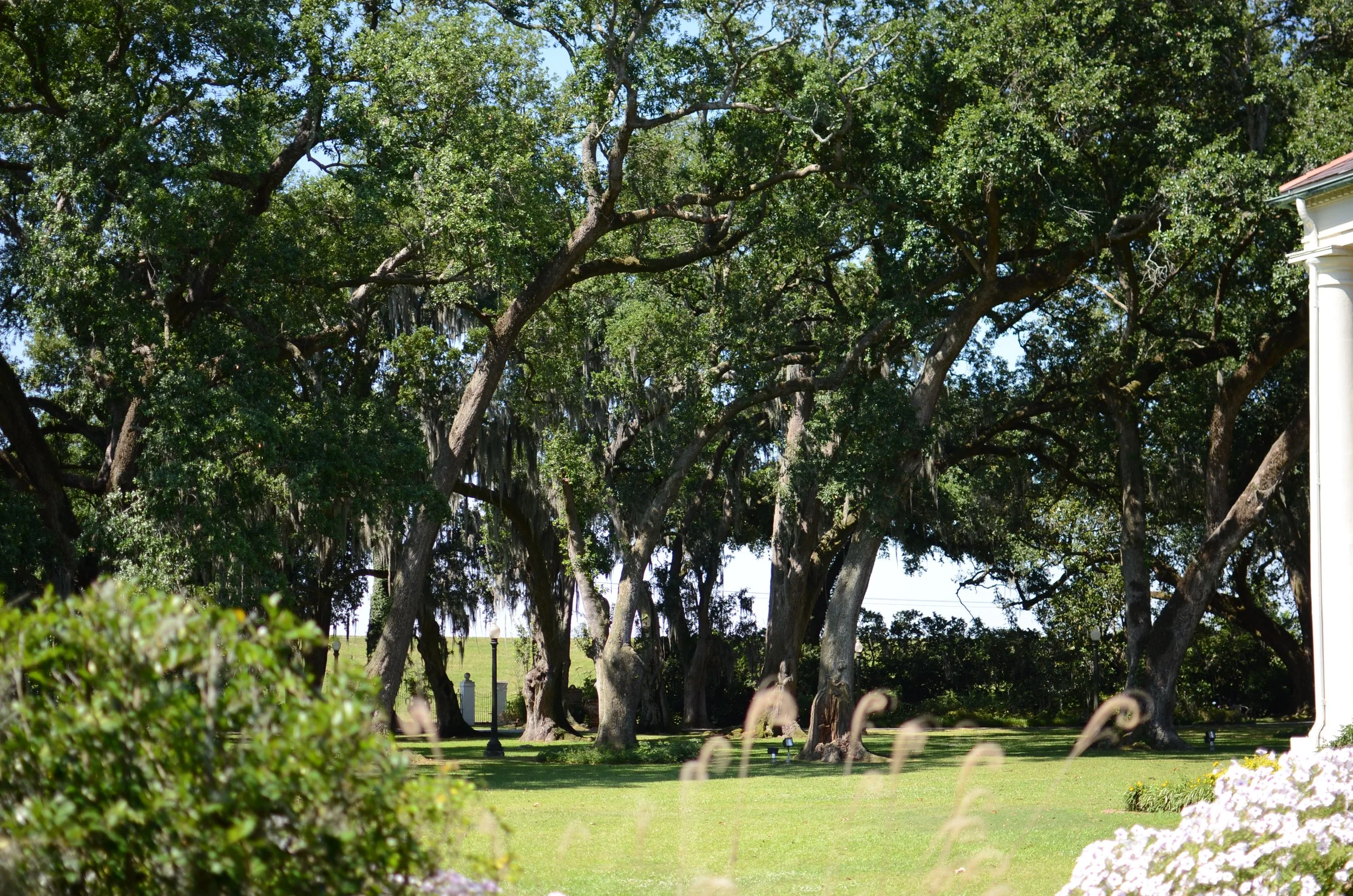 DSC_0065.JPG