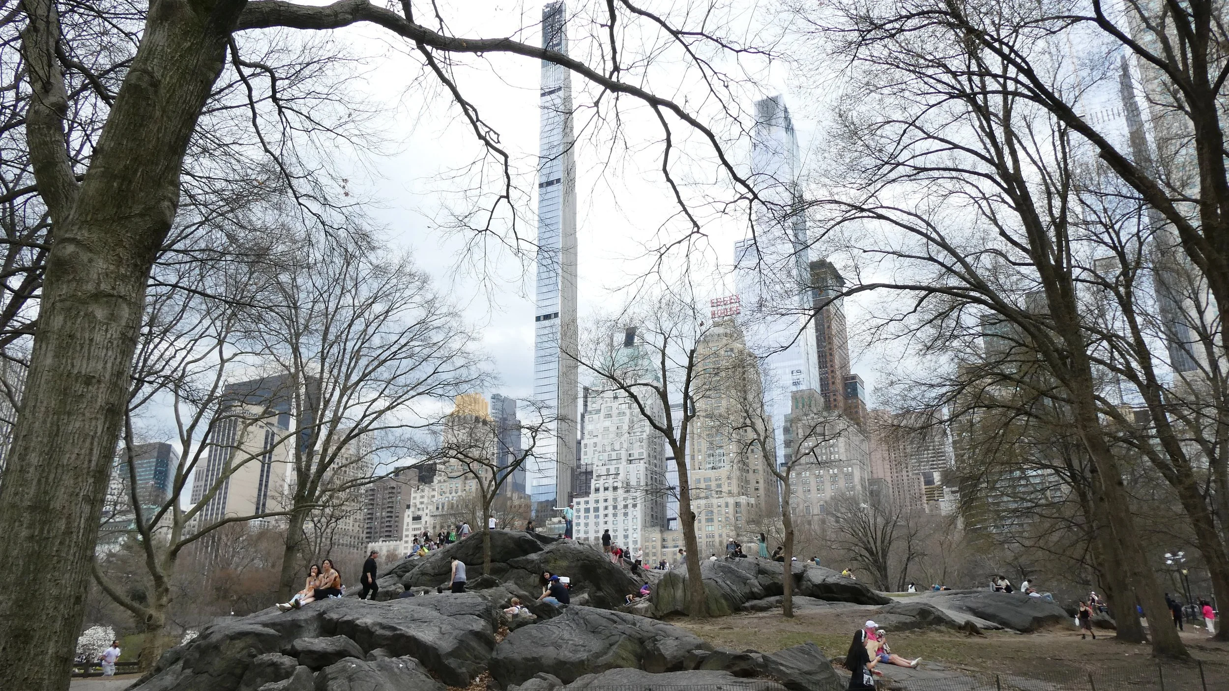 cp skyline.jpg
