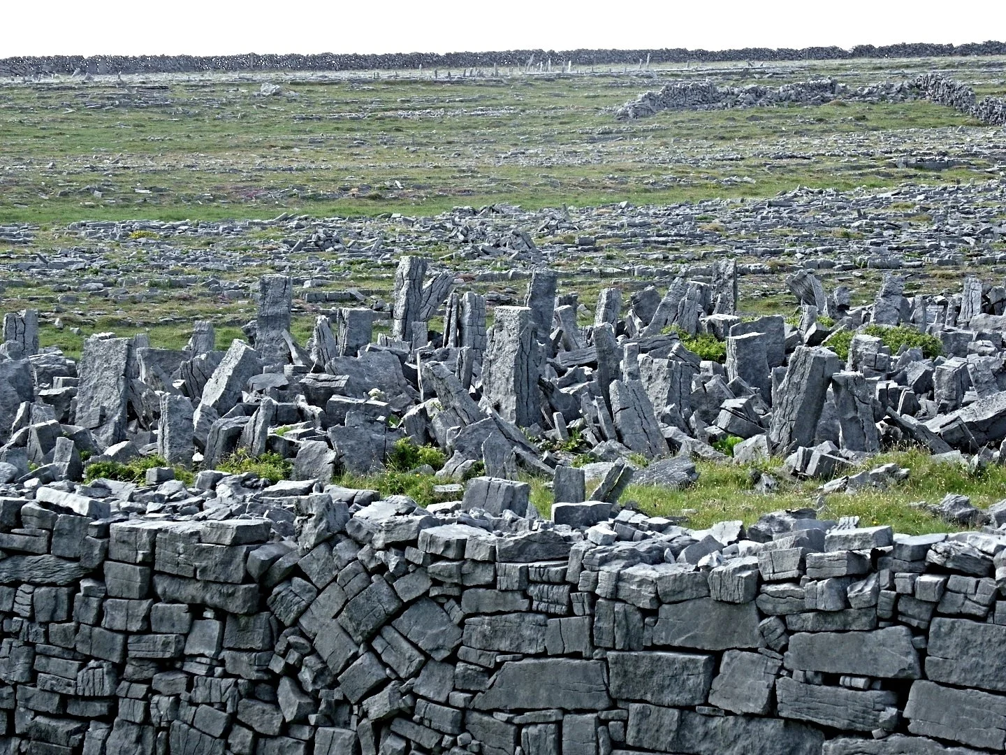 Ireland Stone Field.jpg