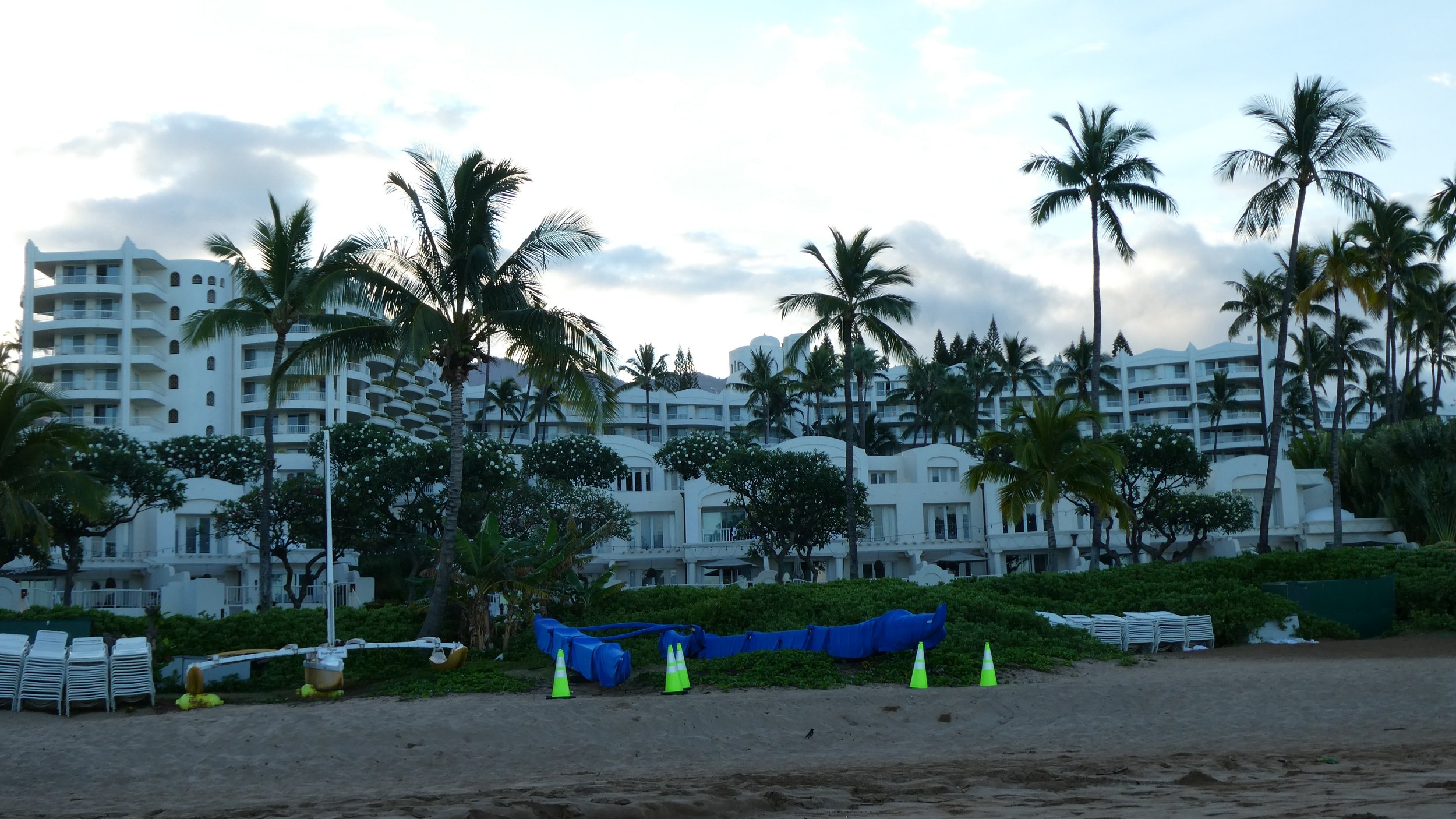P1010655.JPG