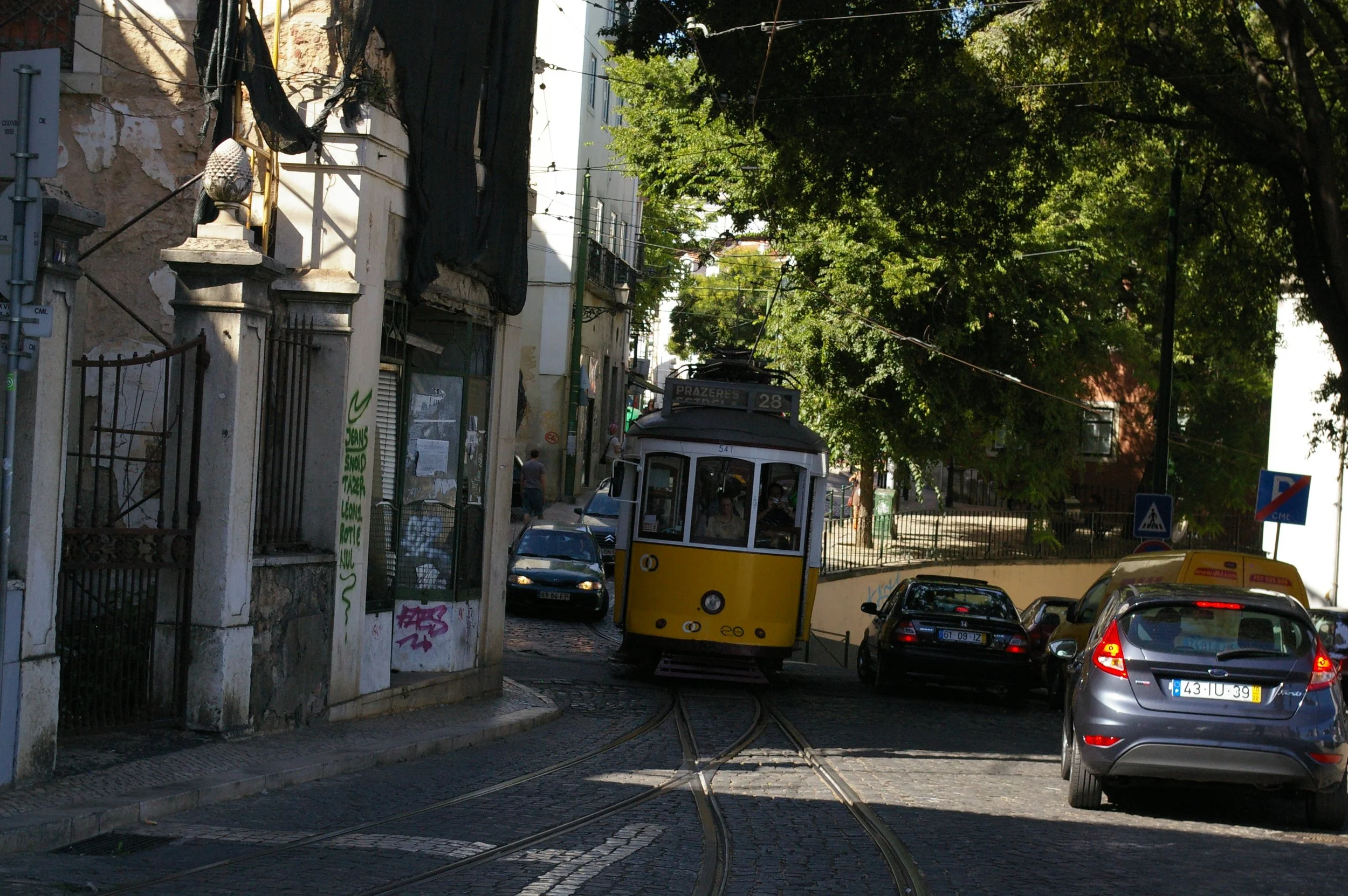 320.JPG
