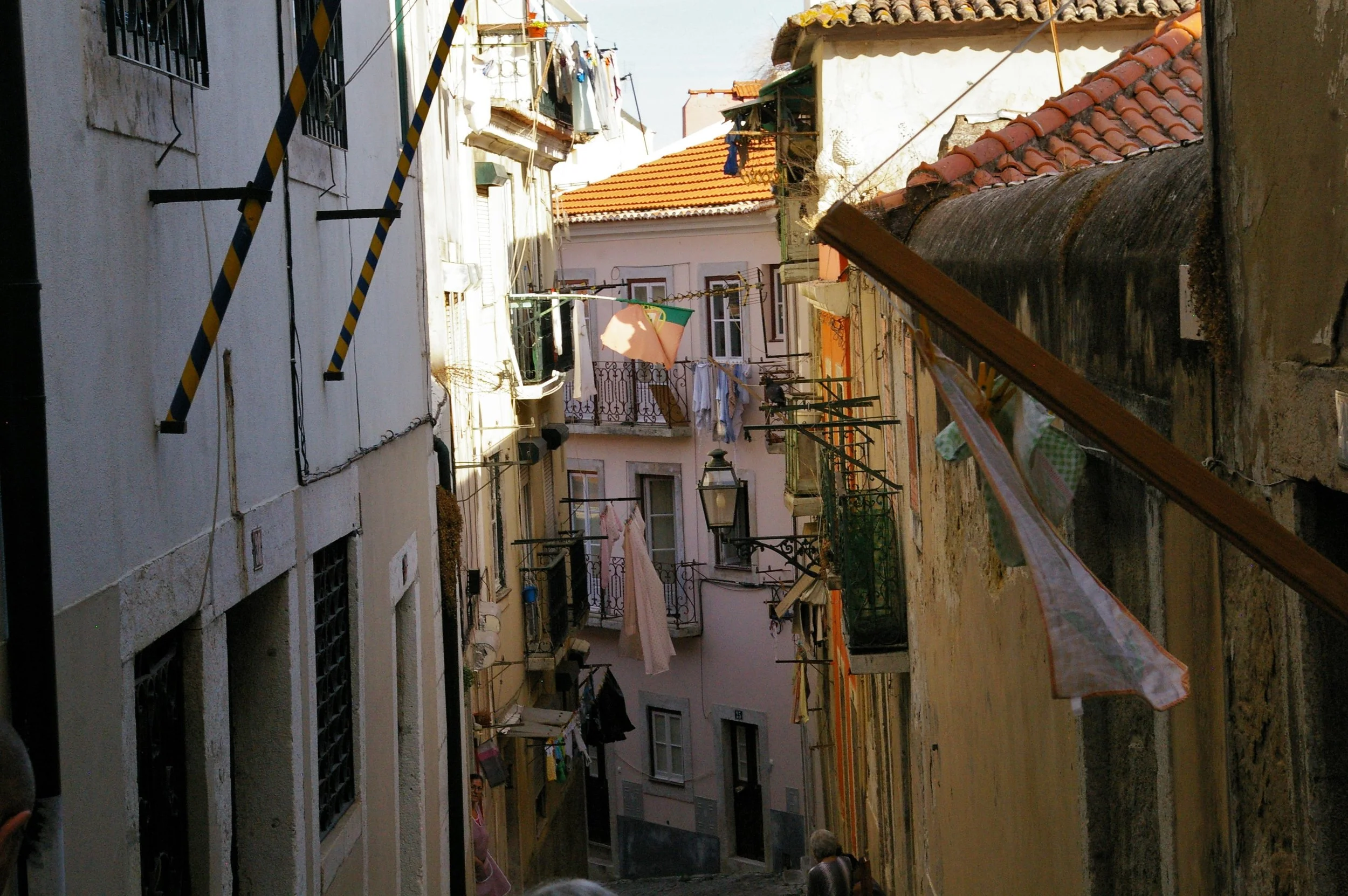 336.jpg
