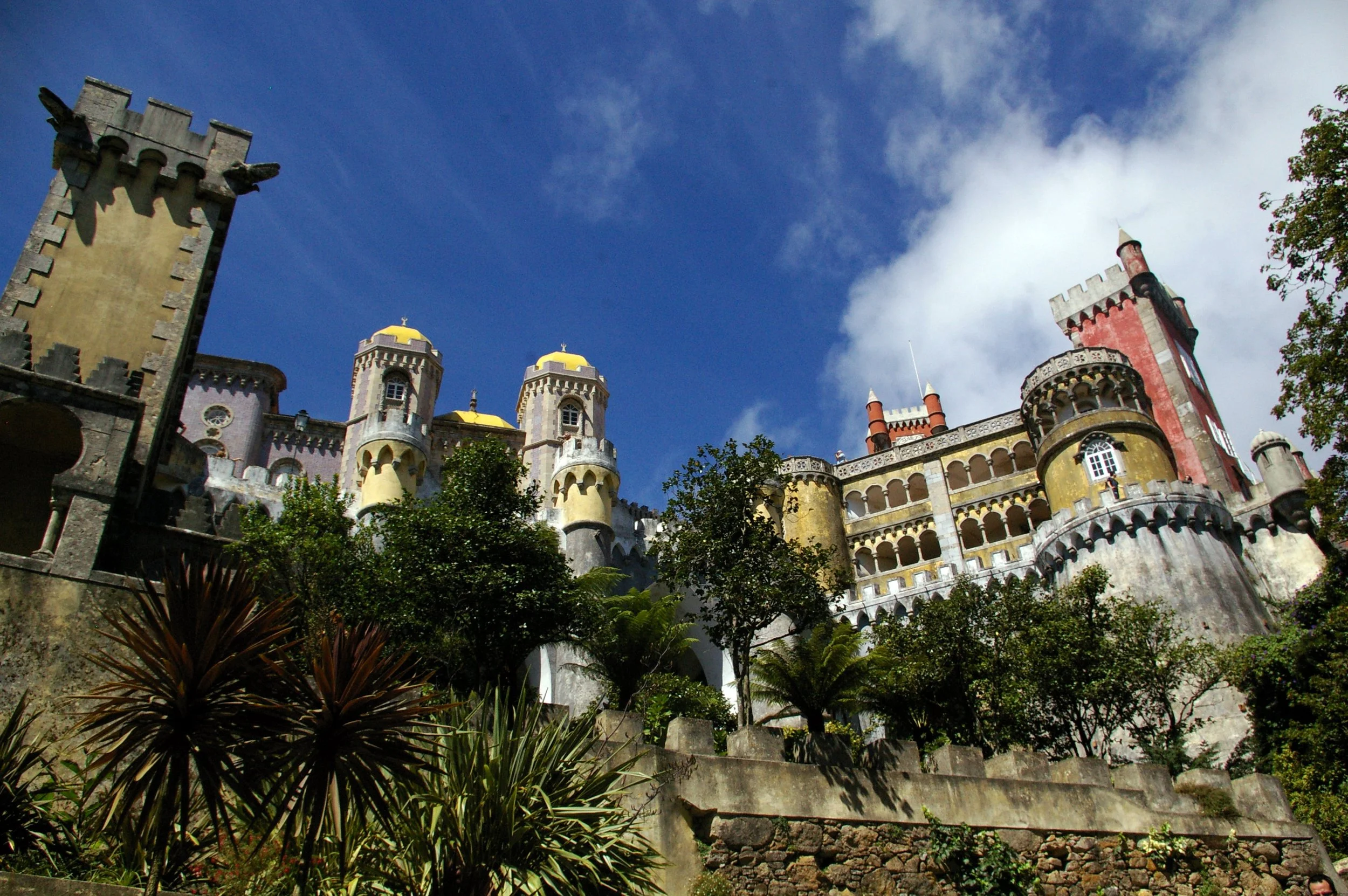 374.jpg