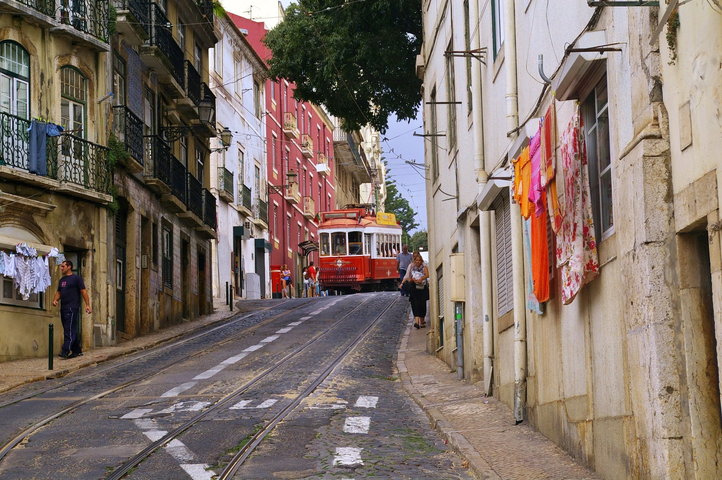 476.jpg