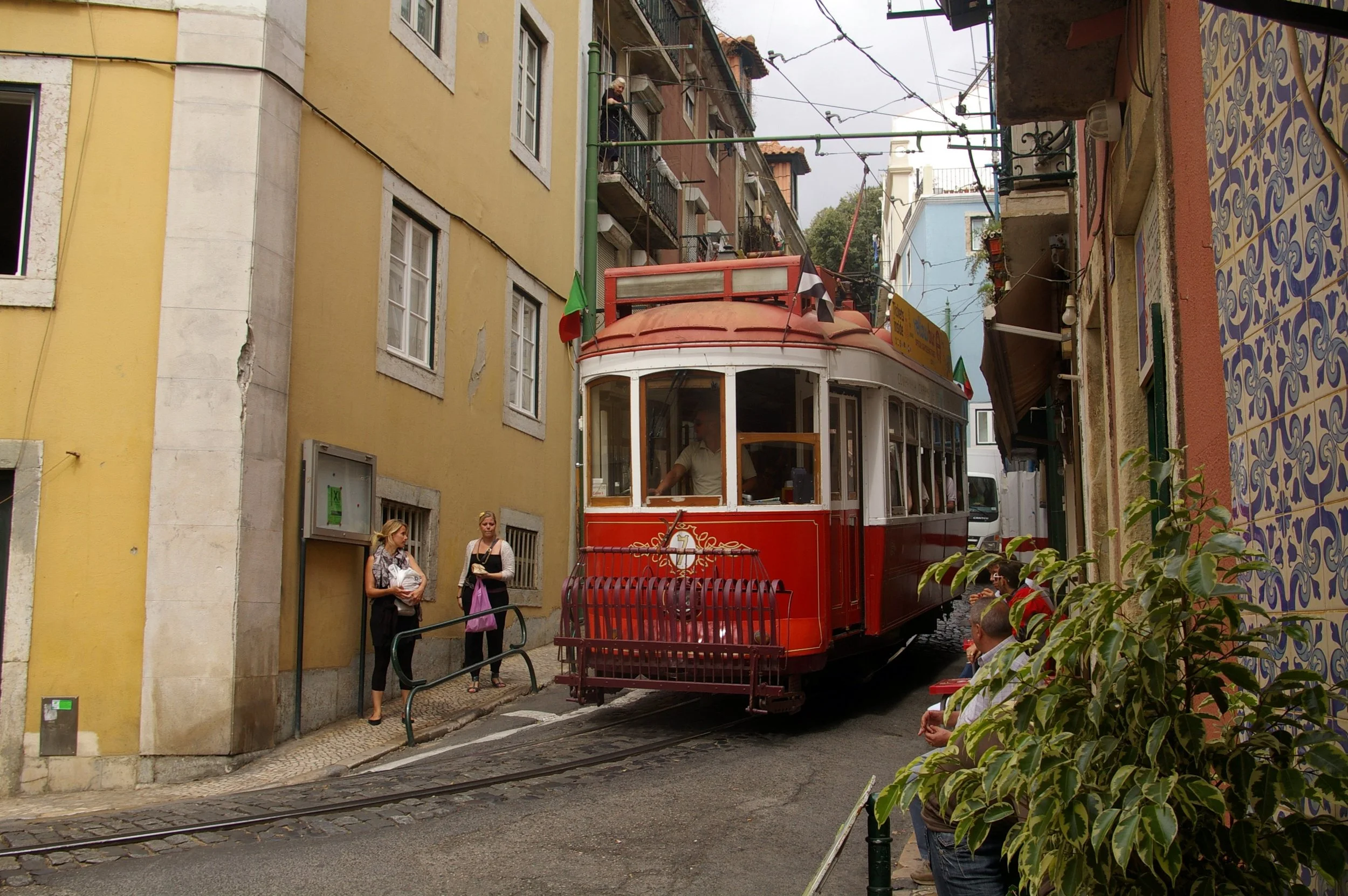 477.jpg