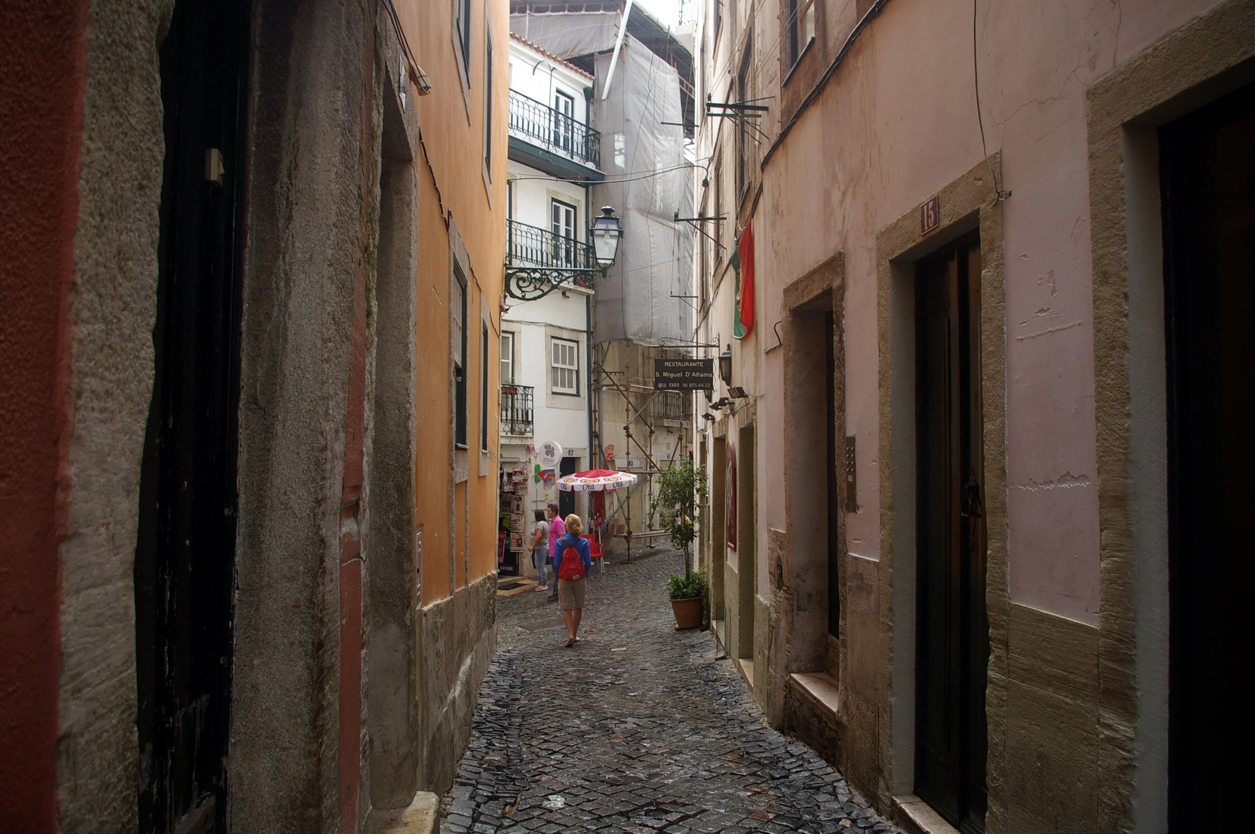 480.jpg
