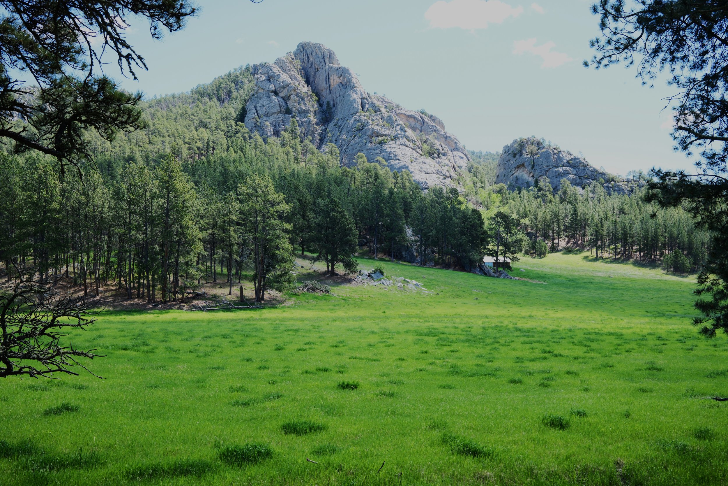 DSCF0108.JPG