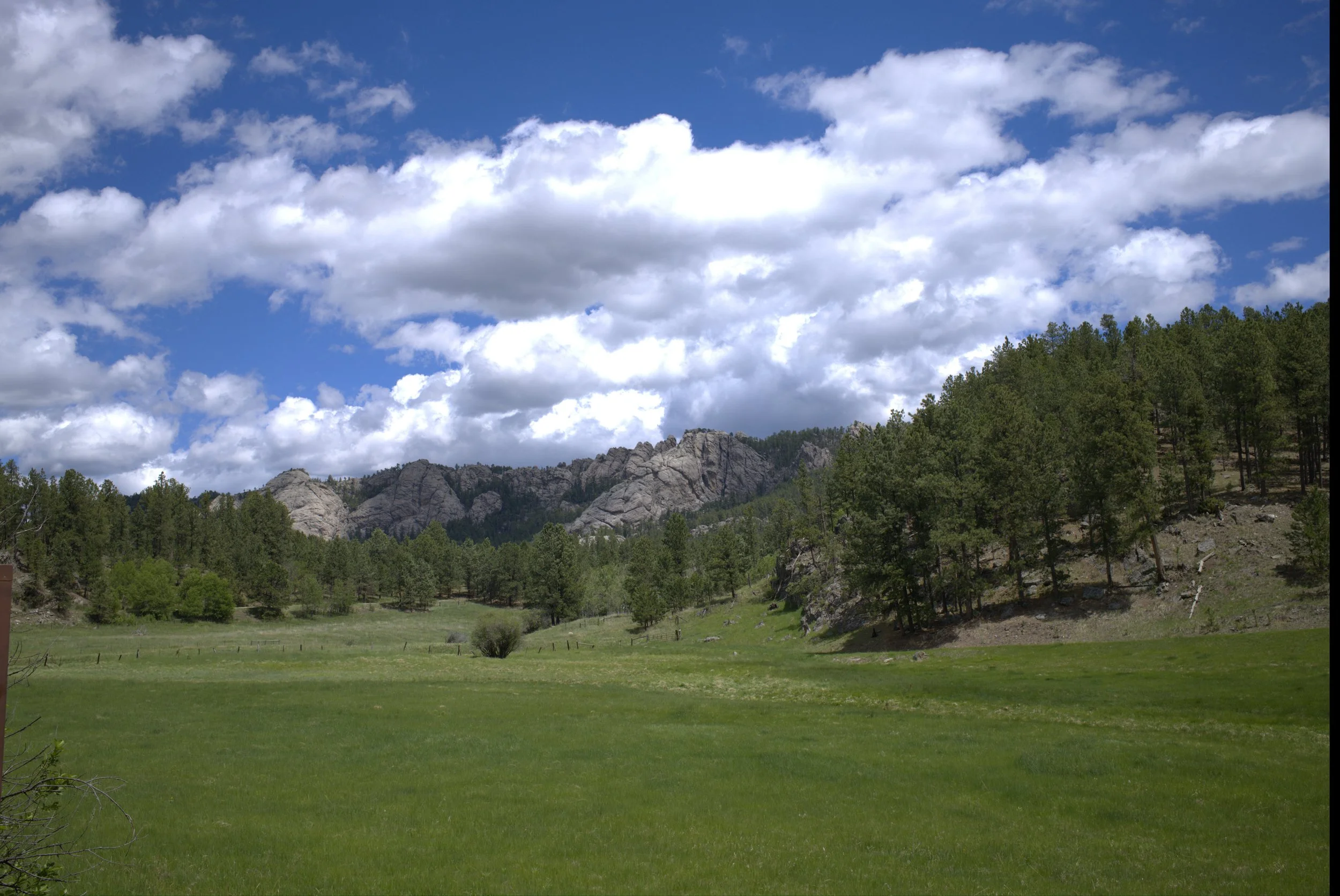 DSCF0116.JPG