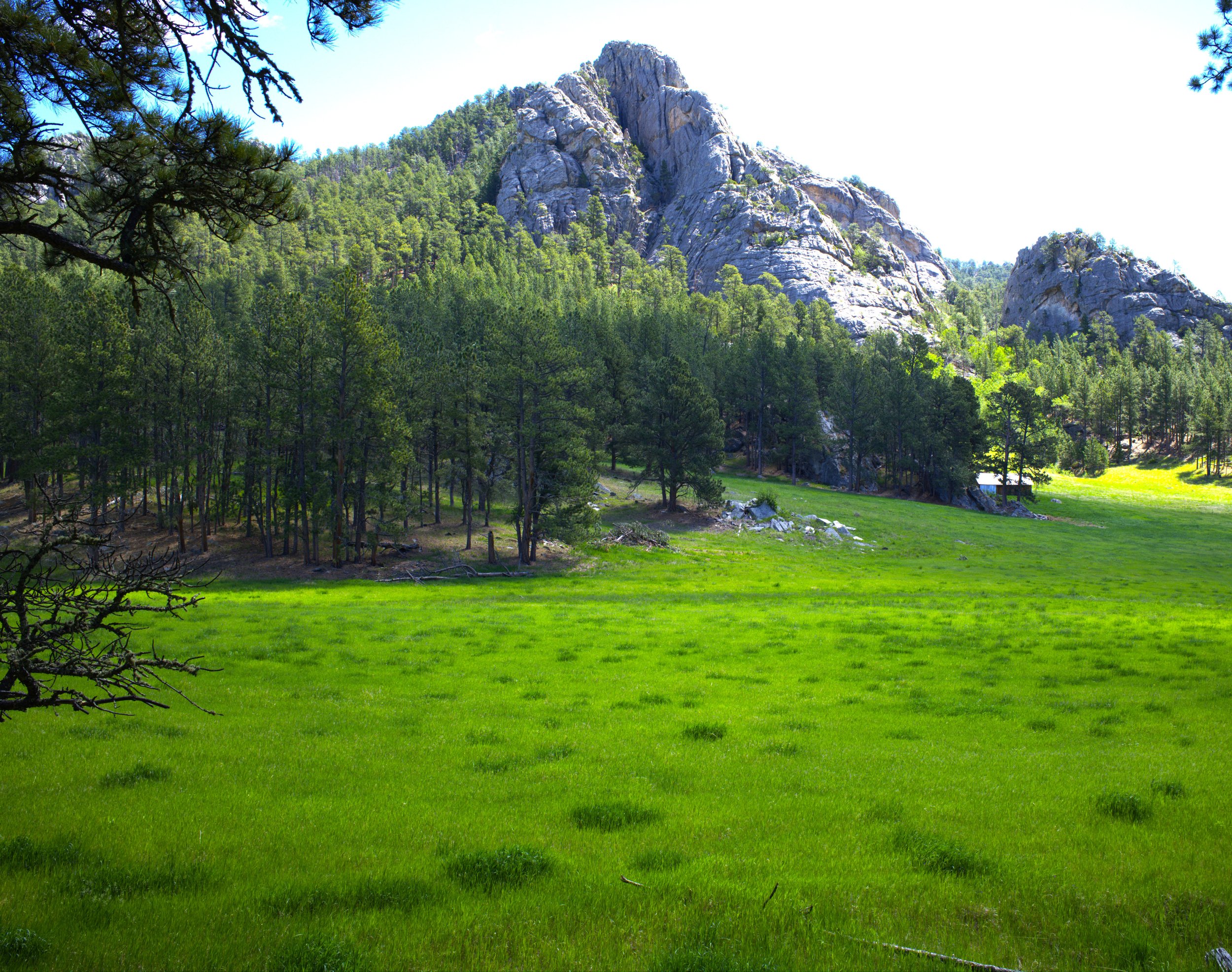 hillside 8.jpg