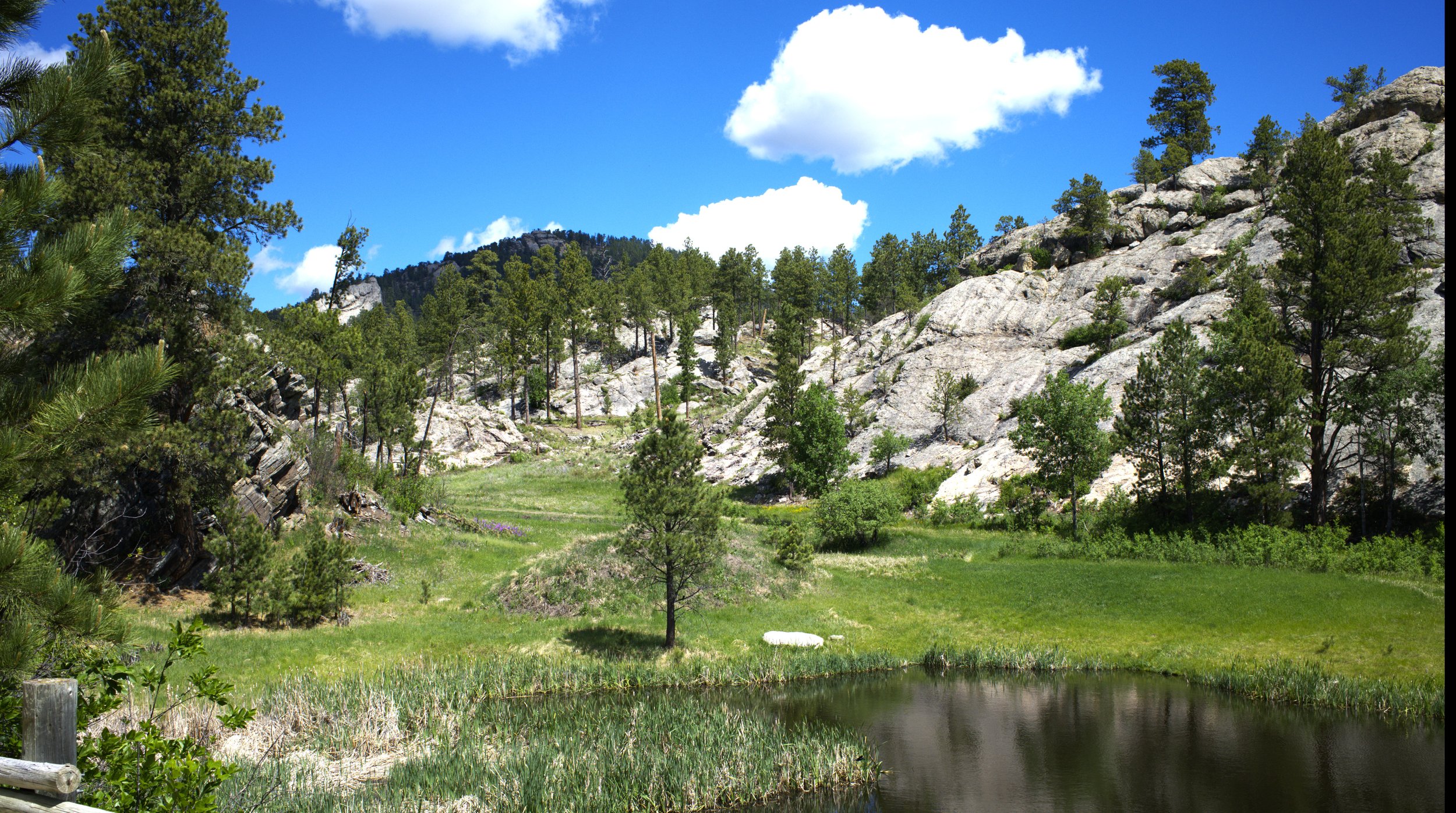 hillside 10.jpg