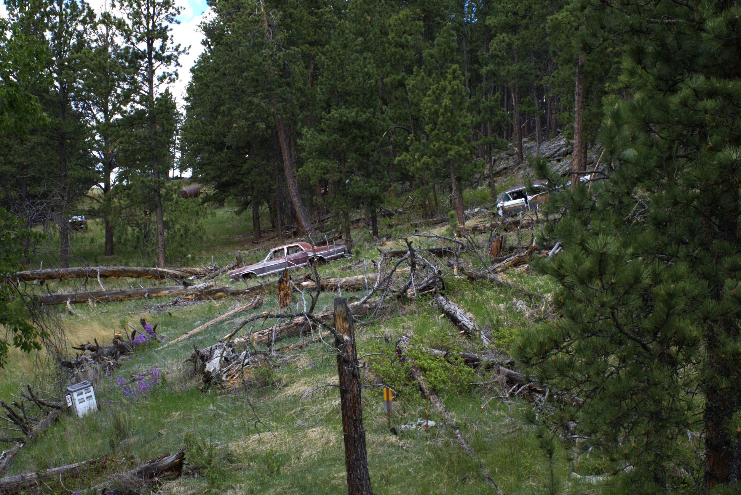 hillside 14.jpg