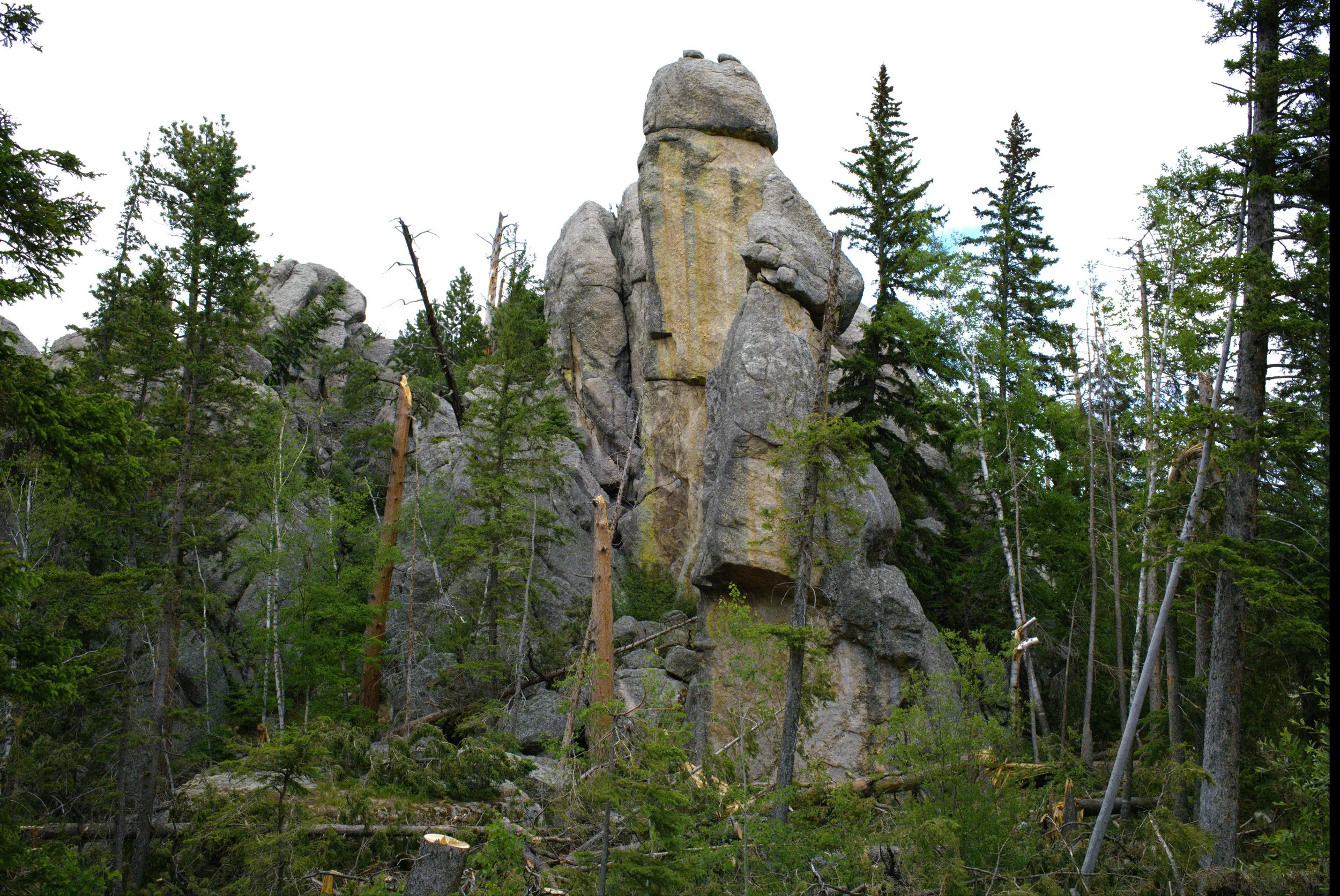 hillside 21.jpg