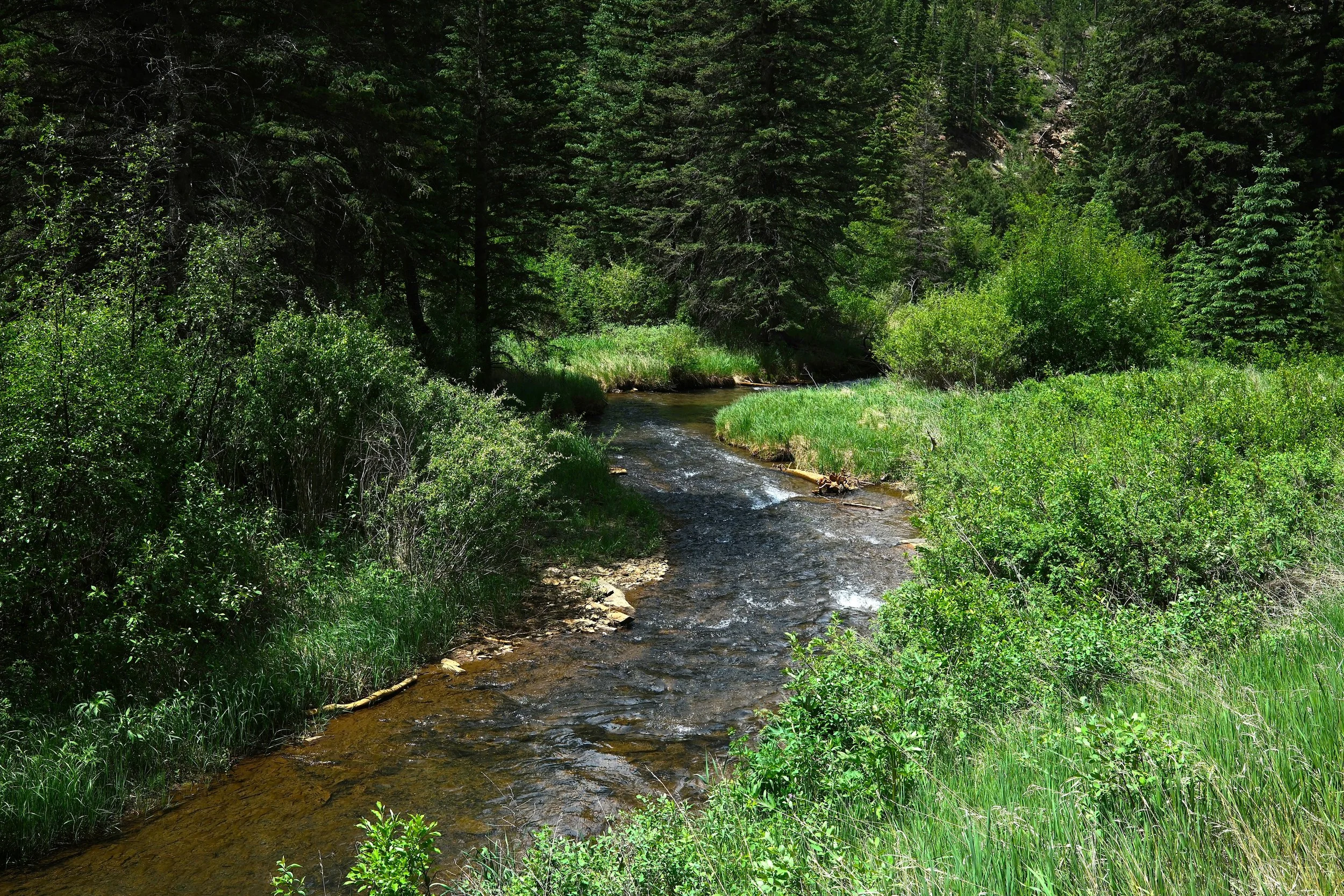 DSCF0084.JPG