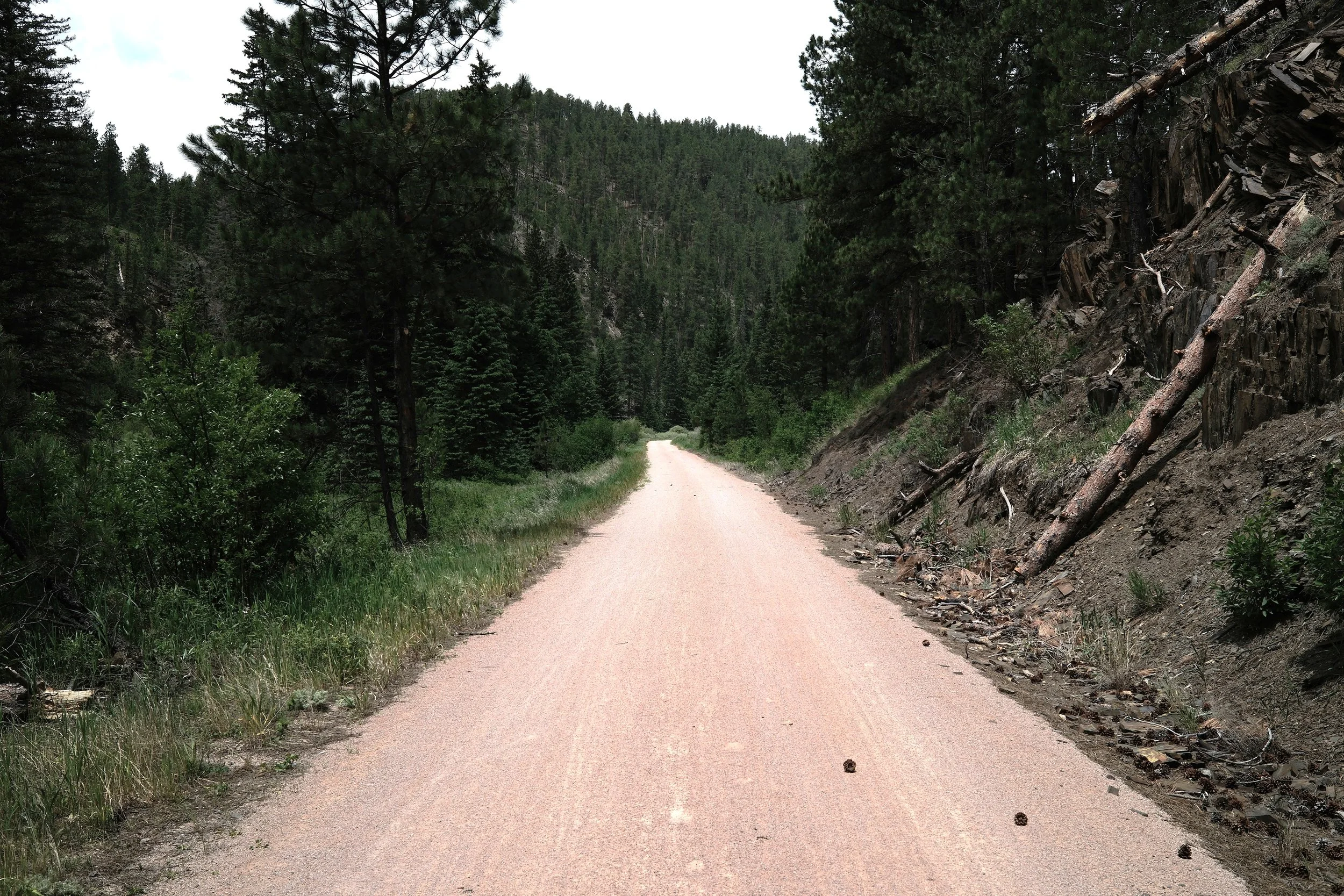 DSCF0089.JPG