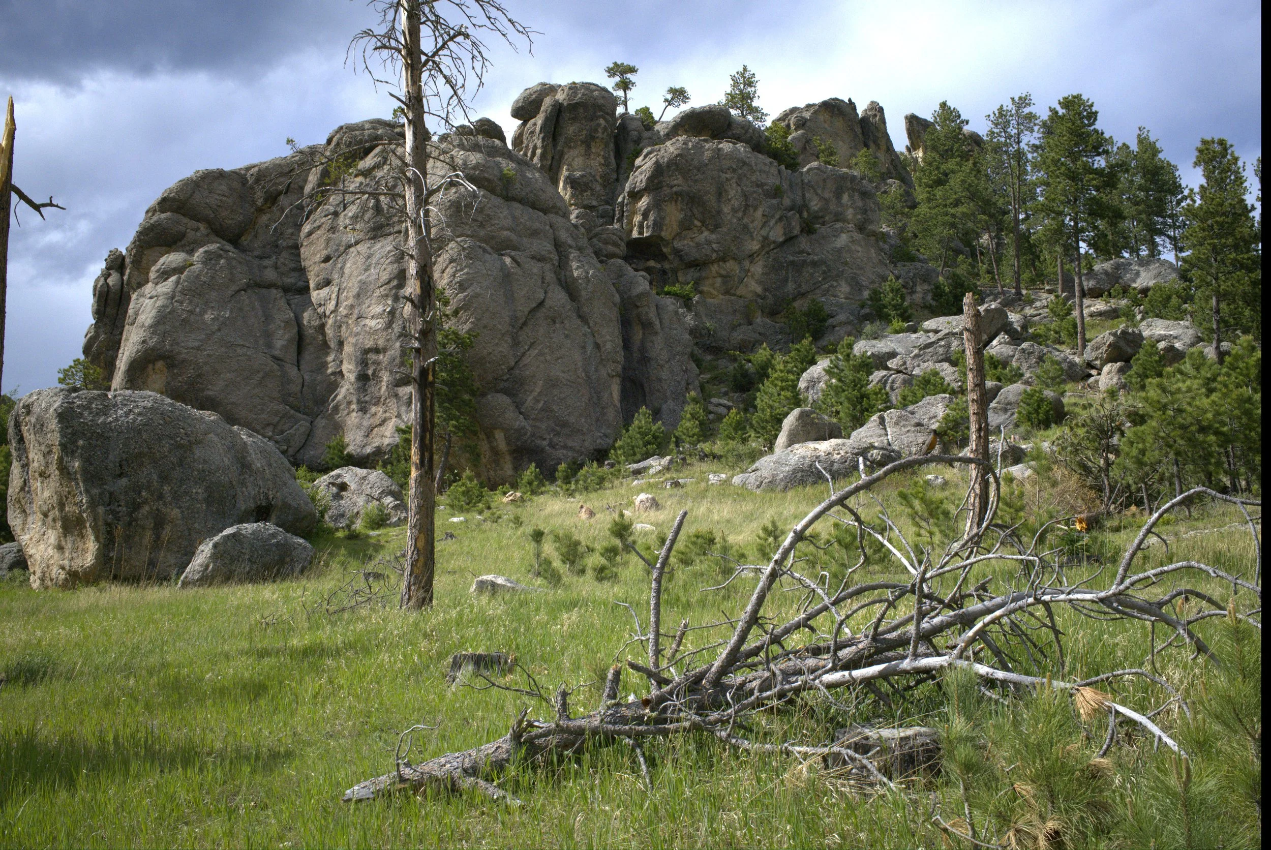 DSCF0127.jpg